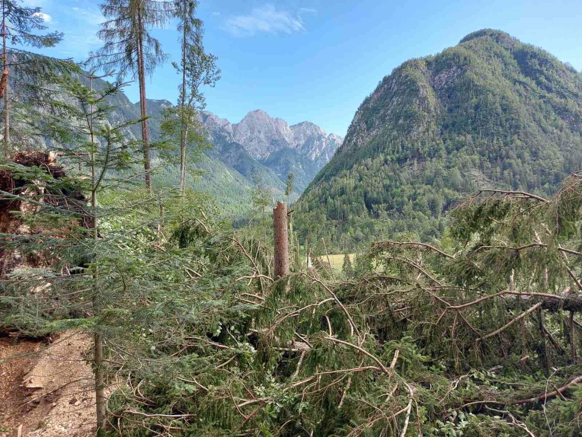 Vetrolom v Kranjski Gori