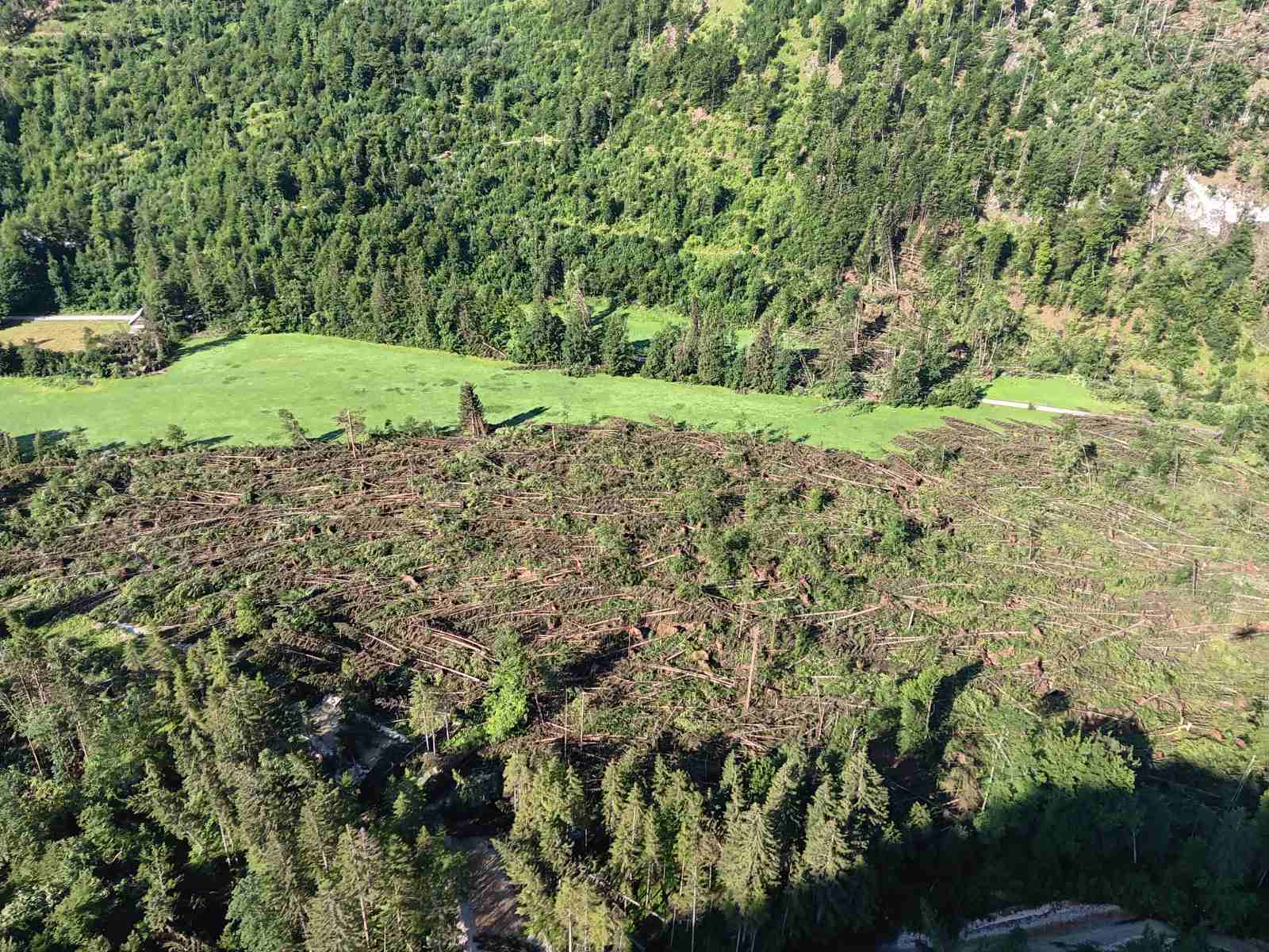 Radovna, veter, podrto drevje, dolina, gozd, uničen gozd
