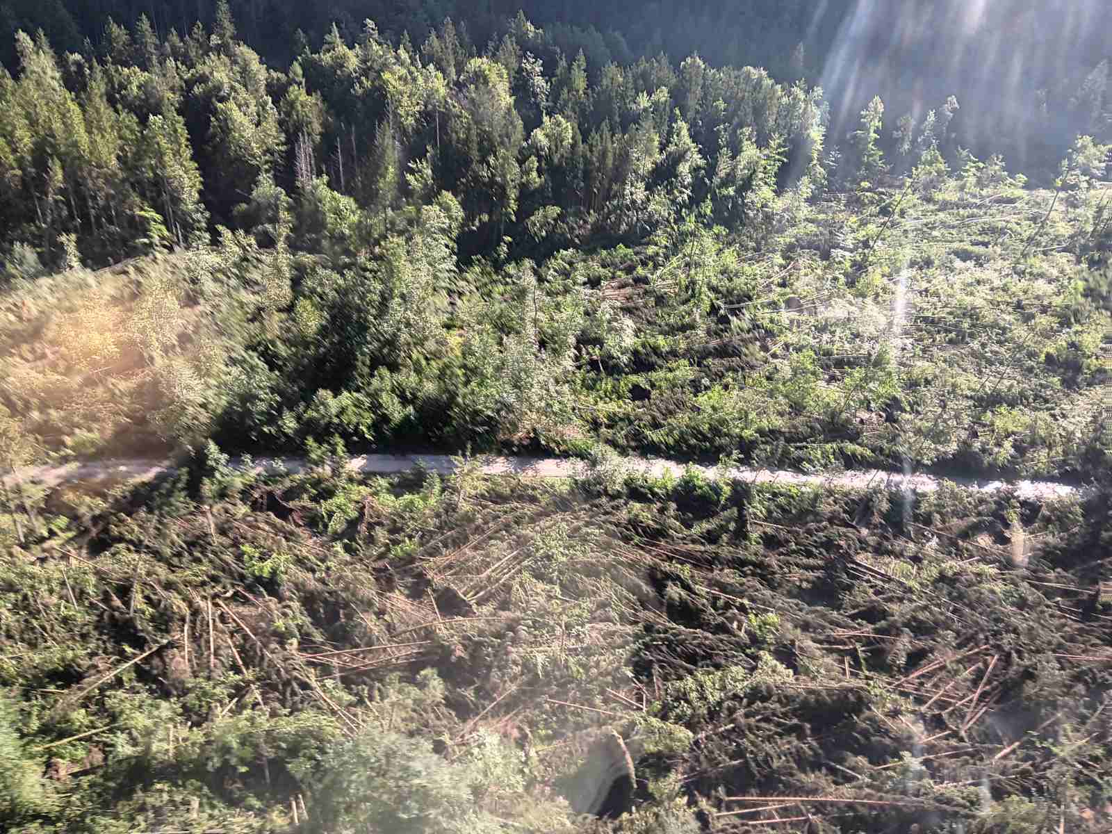 Radovna, veter, podrto drevje, dolina, gozd, uničen gozd