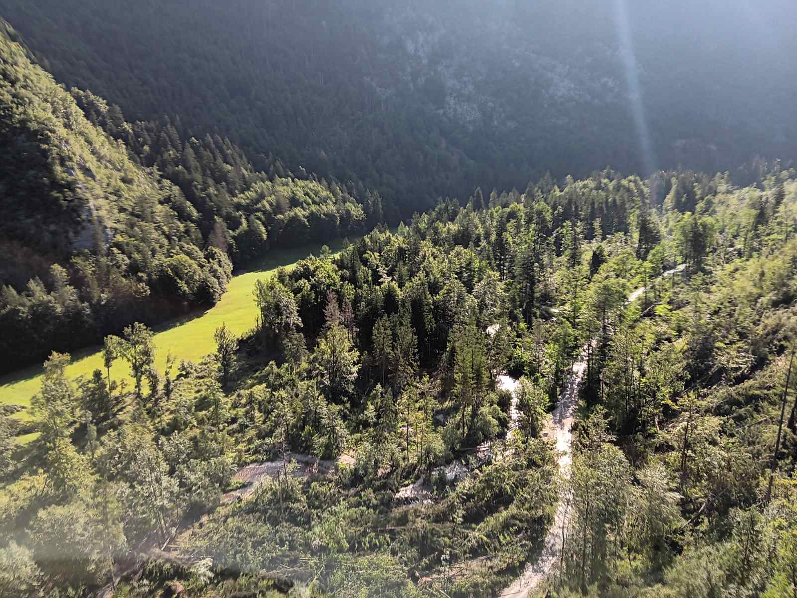 Radovna, veter, podrto drevje, dolina, gozd, uničen gozd