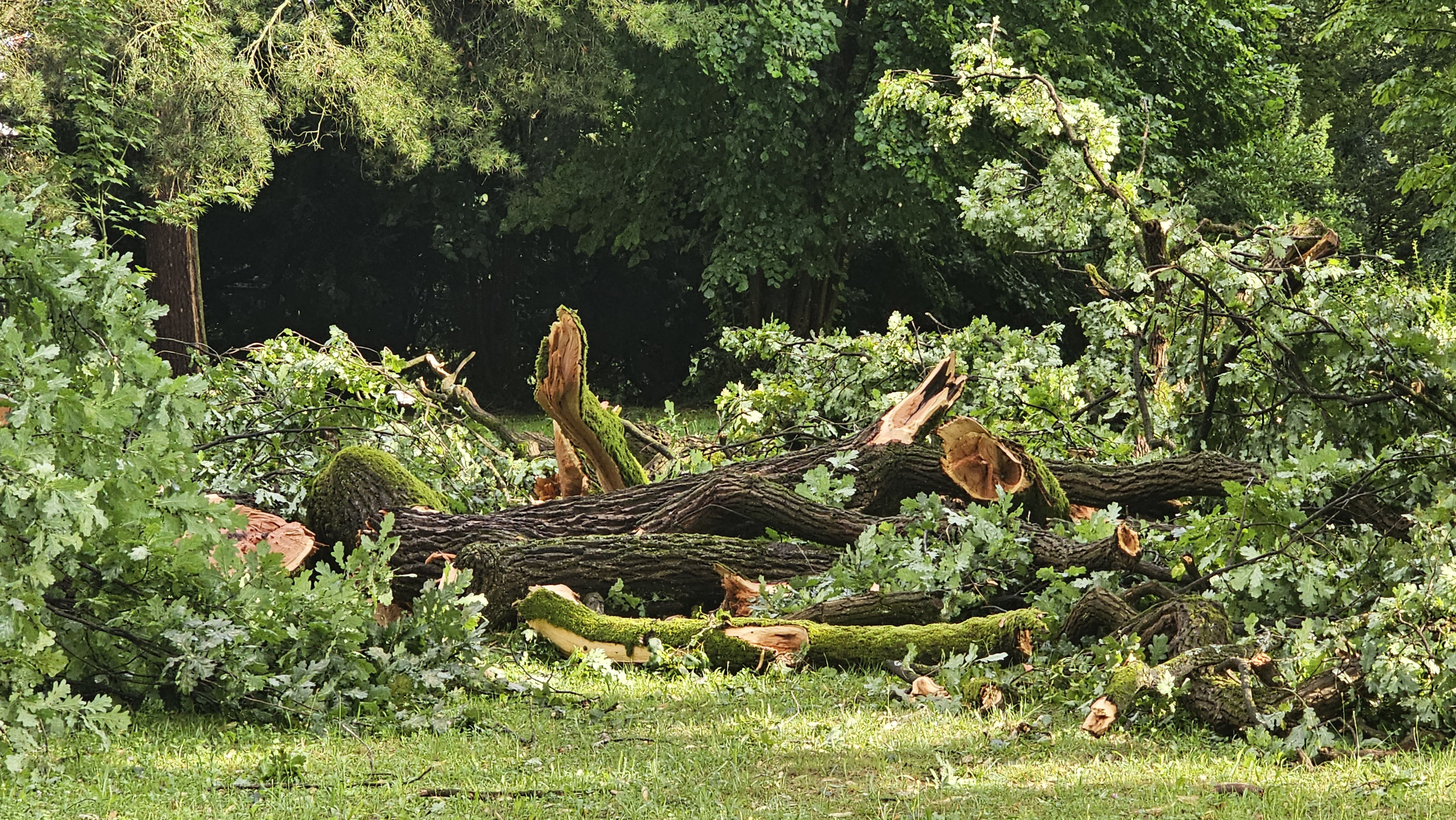 Neurje v Murski Soboti