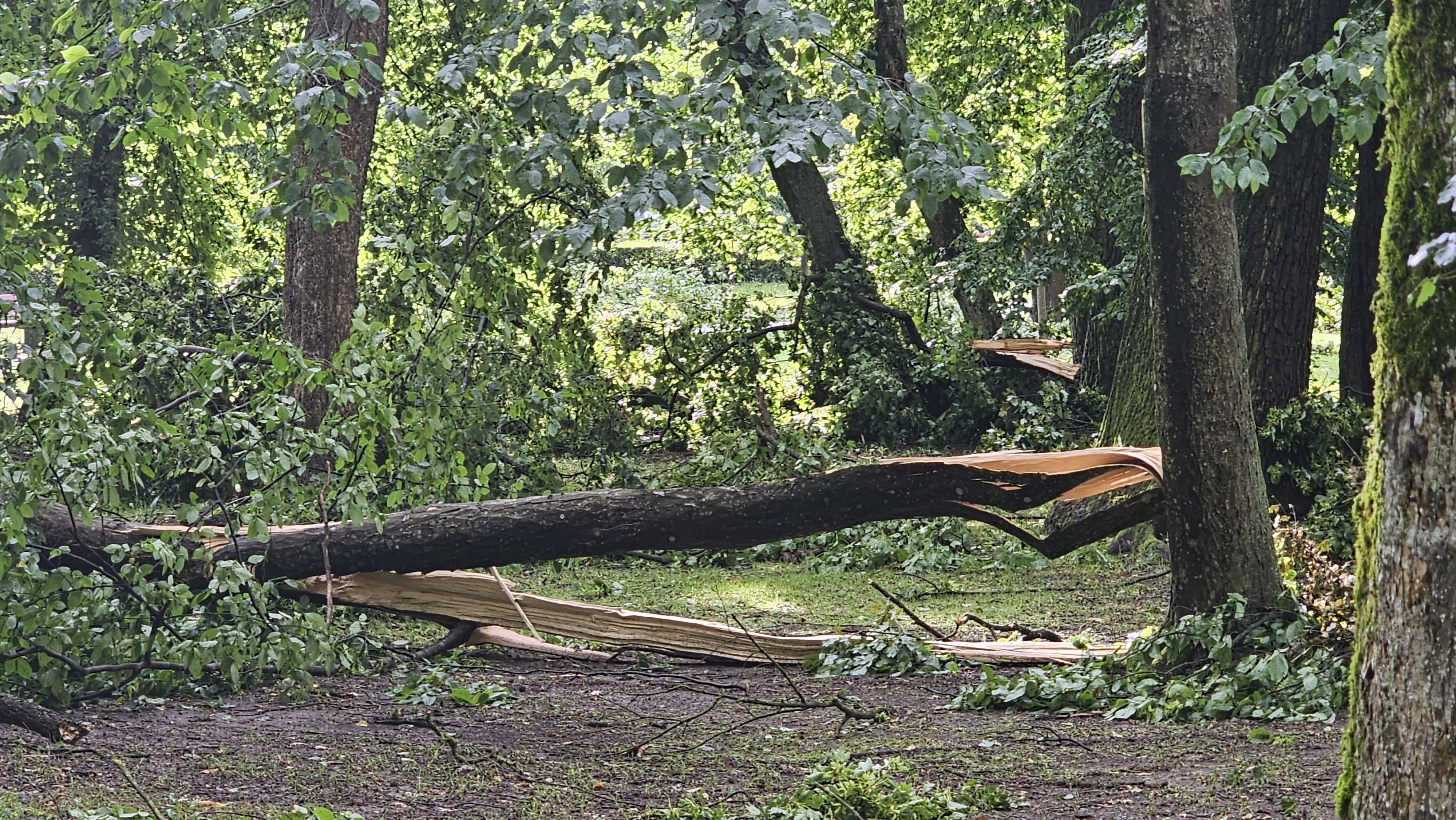 Neurje v Murski soboti