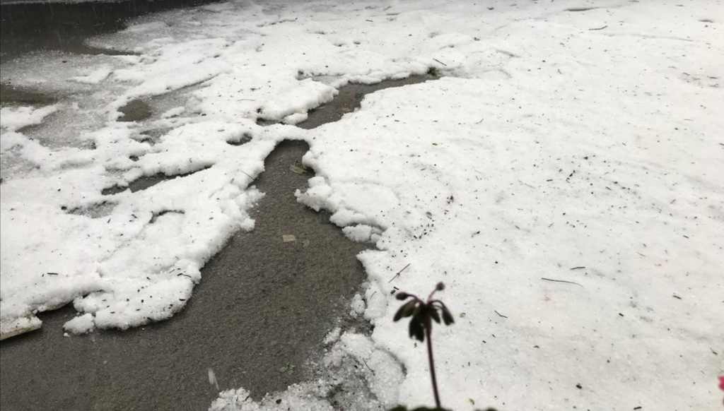 Posledice neurja v Vojniku