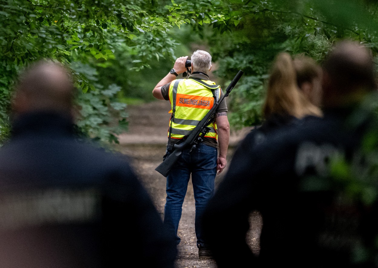 Iskanje pobegle levinje, ki se je izkazala za divjega prašiča.