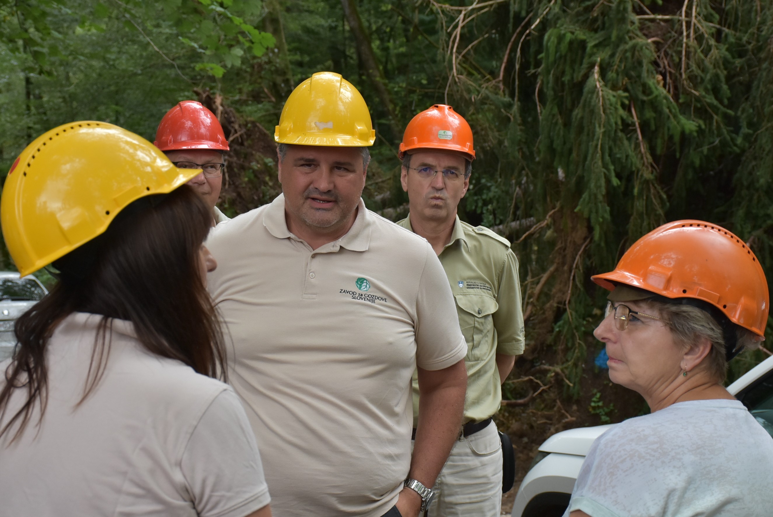 Ministrstvo za kmetijstvo, gozdarstvo in prehrano. 