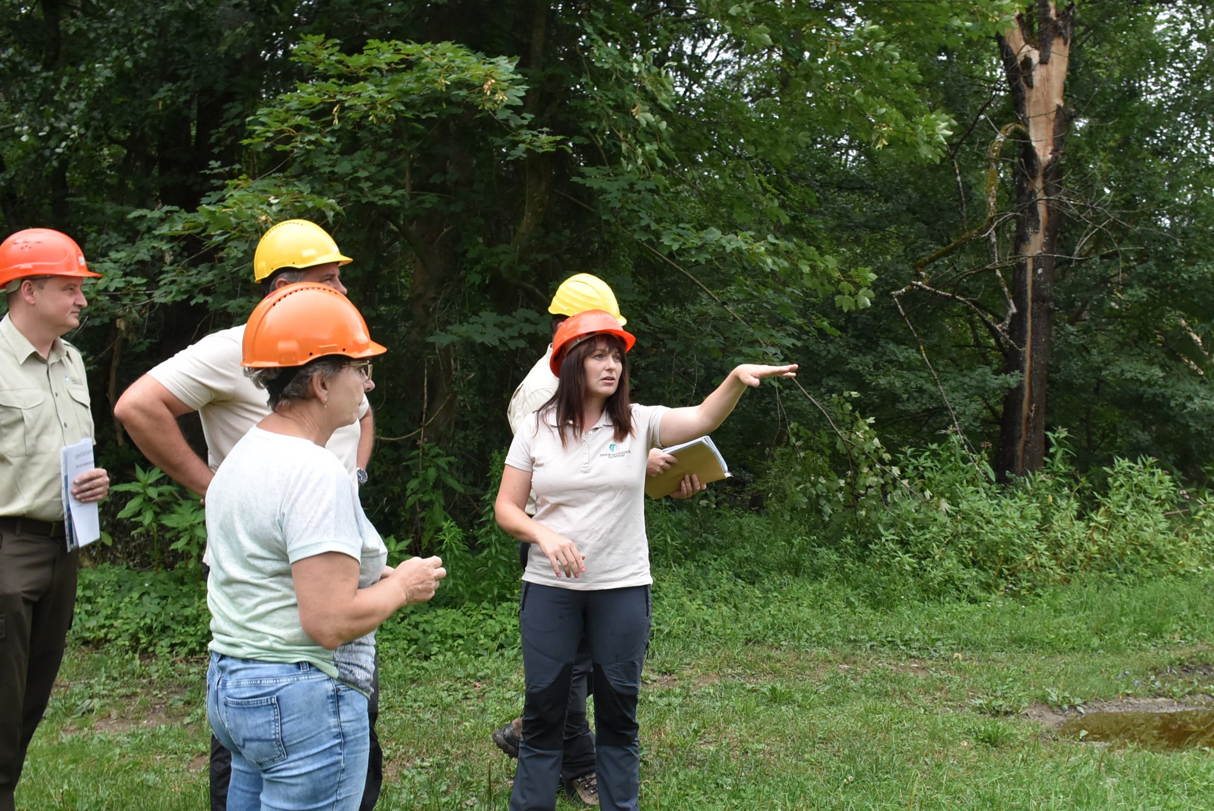 Ministrstvo za kmetijstvo, gozdarstvo in prehrano. 