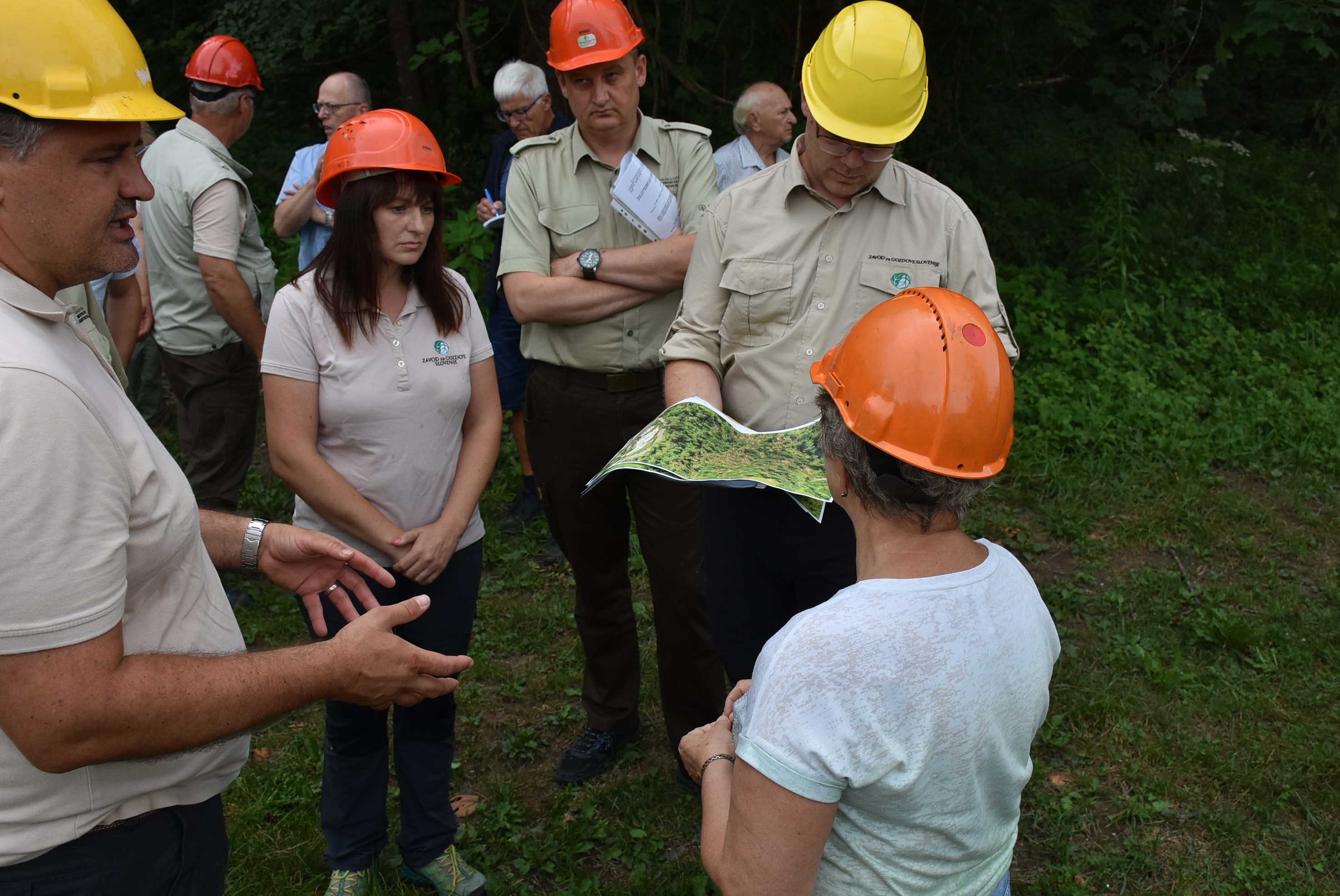 Ministrstvo za kmetijstvo, gozdarstvo in prehrano. 