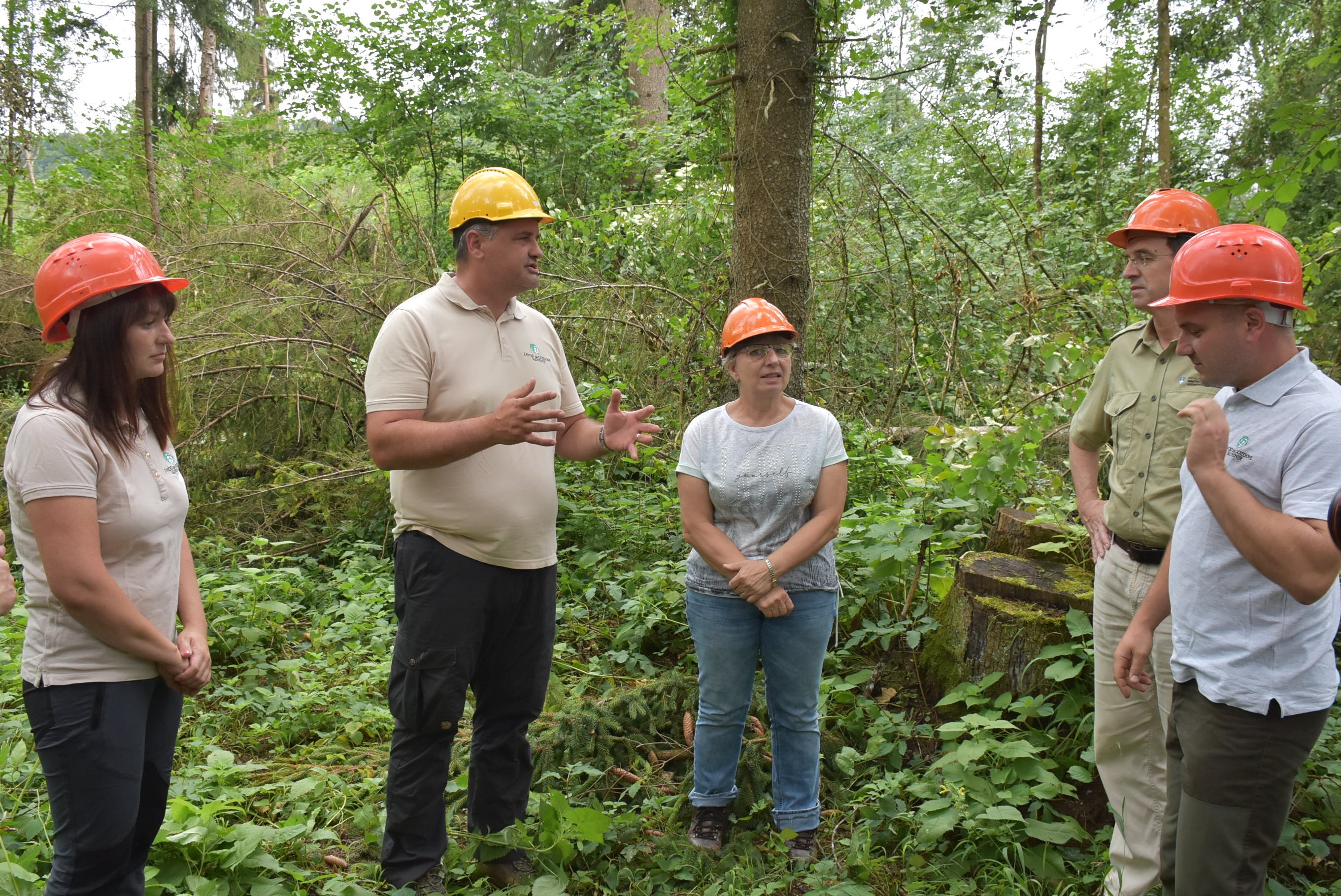Ministrstvo za kmetijstvo, gozdarstvo in prehrano. 