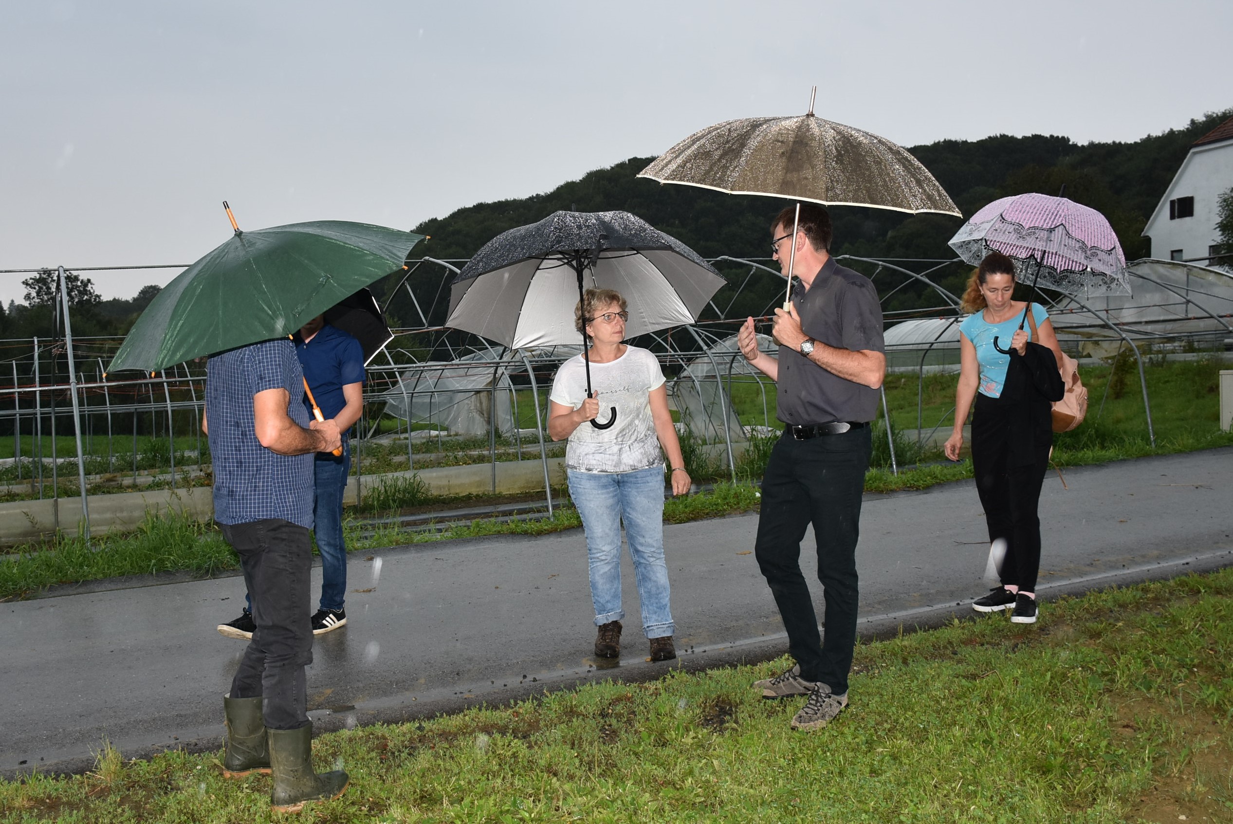 Ministrstvo za kmetijstvo, gozdarstvo in prehrano. 