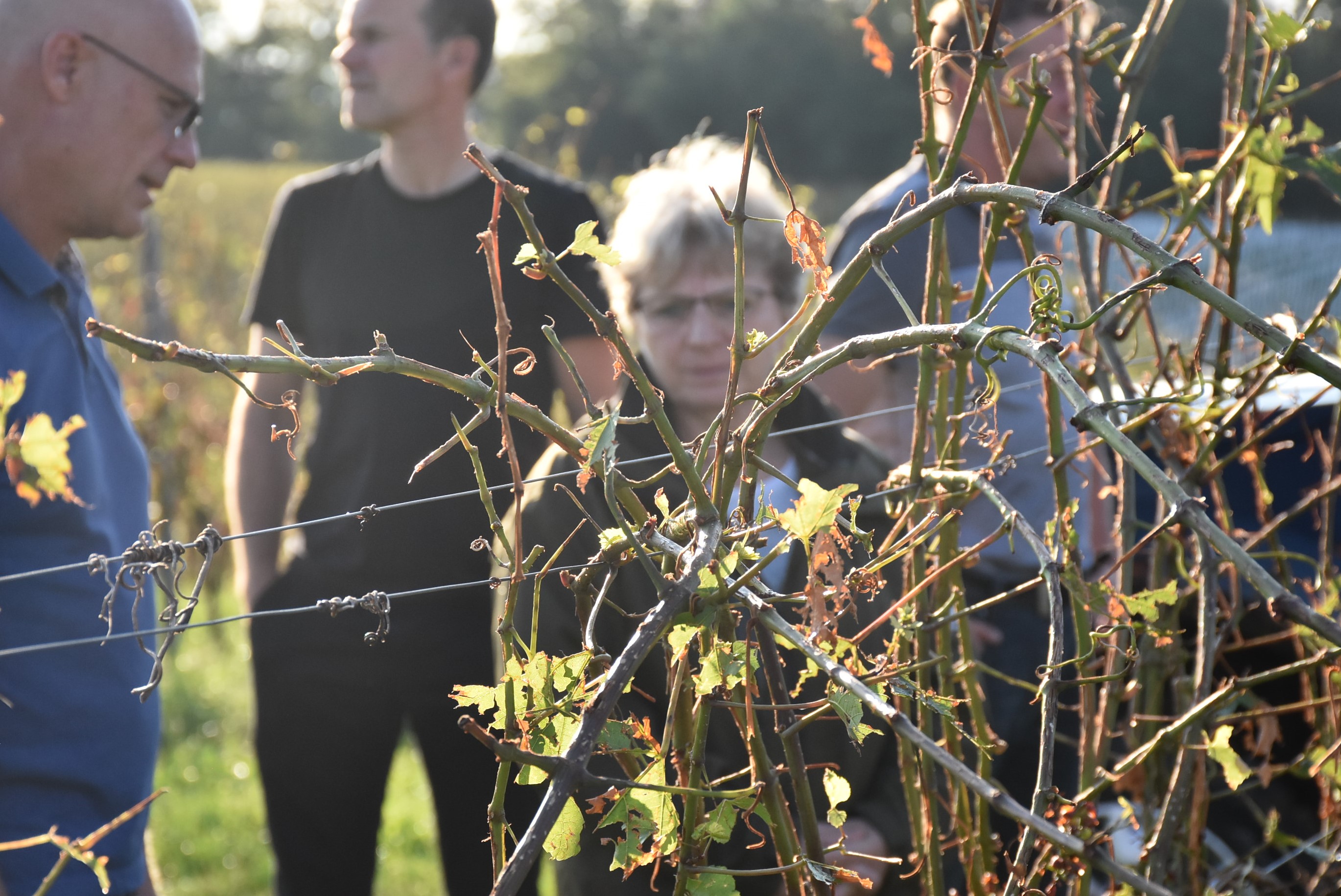 Ministrstvo za kmetijstvo, gozdarstvo in prehrano.