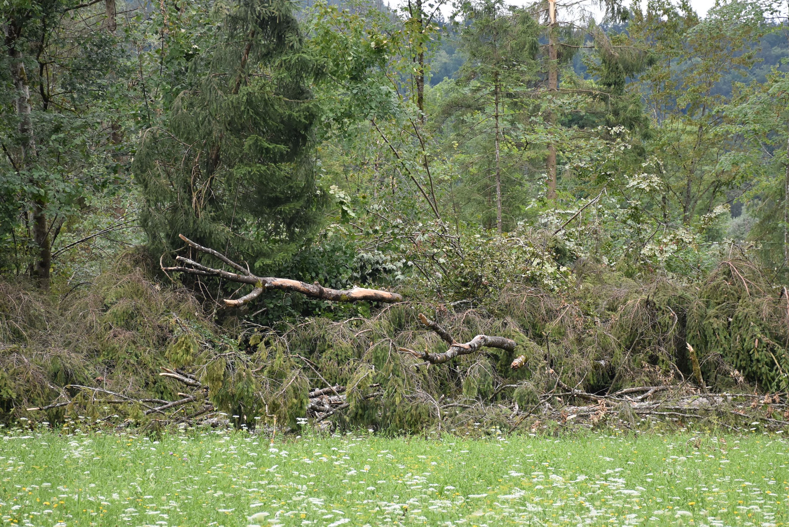 Ministrstvo za kmetijstvo, gozdarstvo in prehrano. 