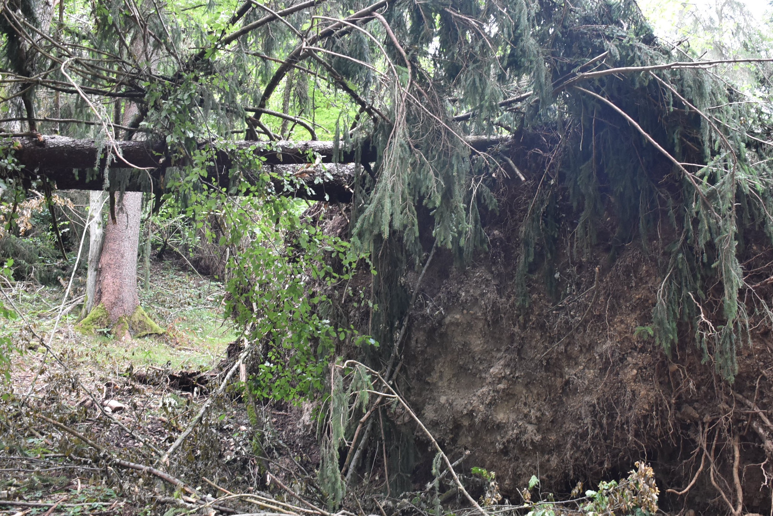Ministrstvo za kmetijstvo, gozdarstvo in prehrano.