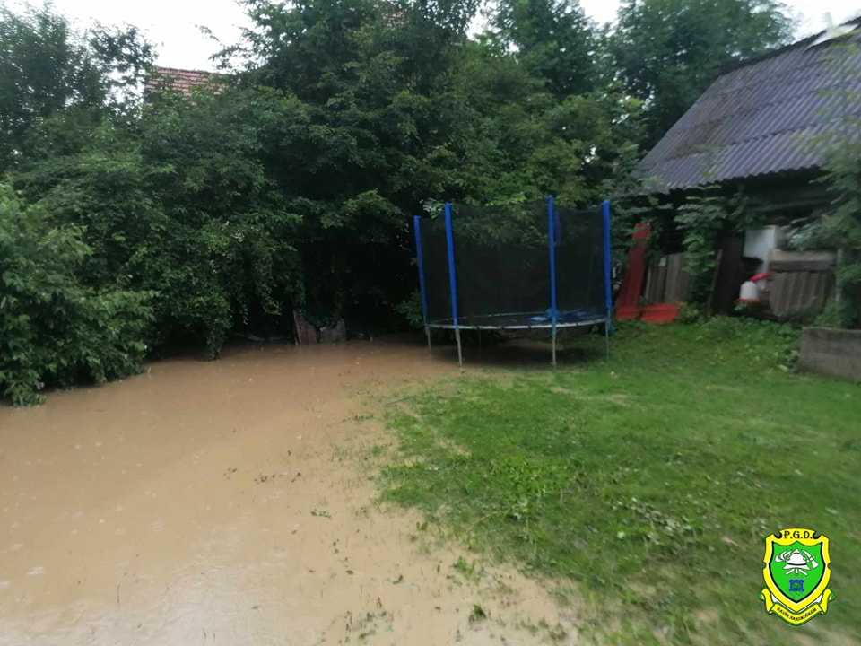 neurje Ravne na Koroškem