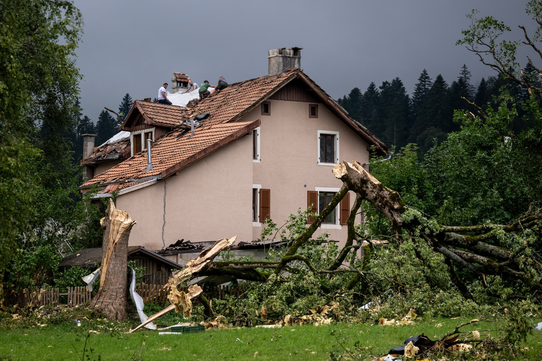 La Chaux de Fonds, neurje, Švica