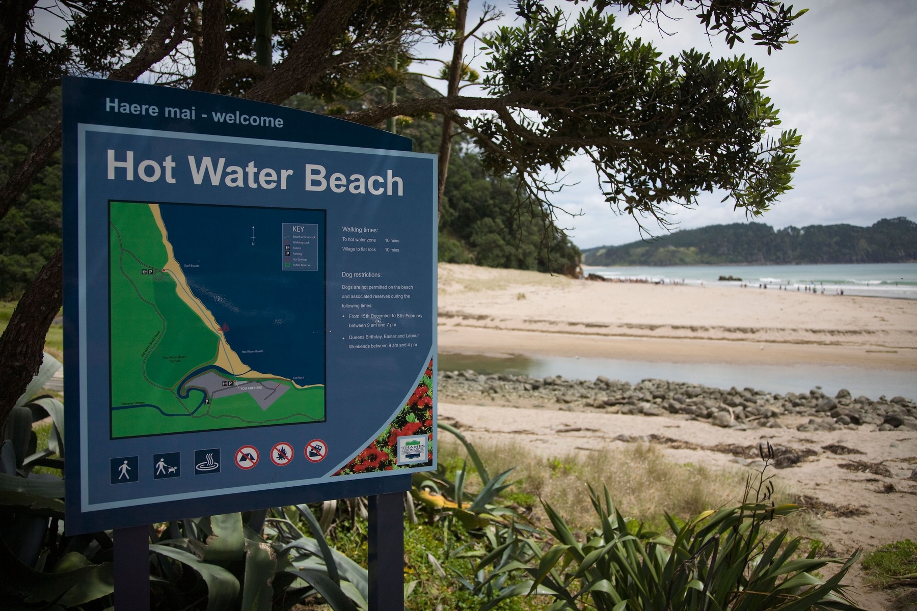 plaža hot water, nova zelandija