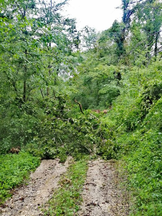 Zaprt dovoz do festivala Tolminator.