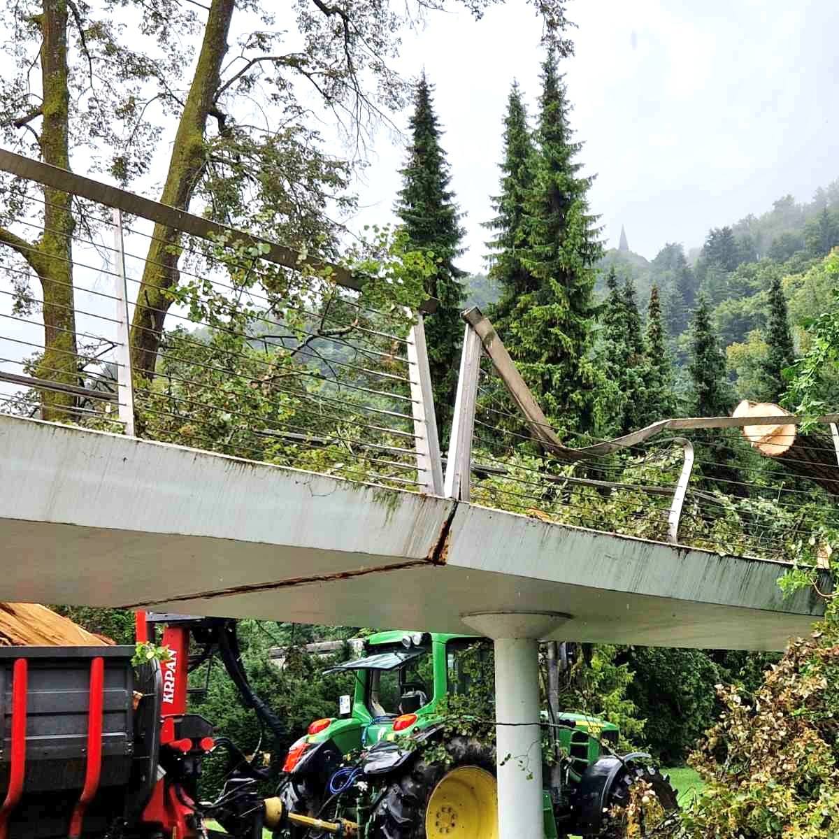 Posledice neurja v Celju.