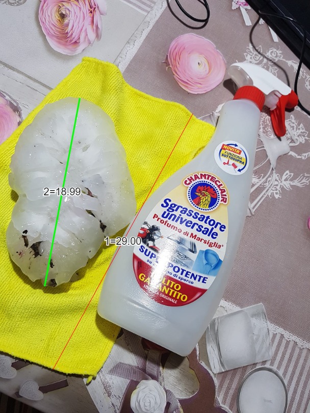 rekordno velika toča