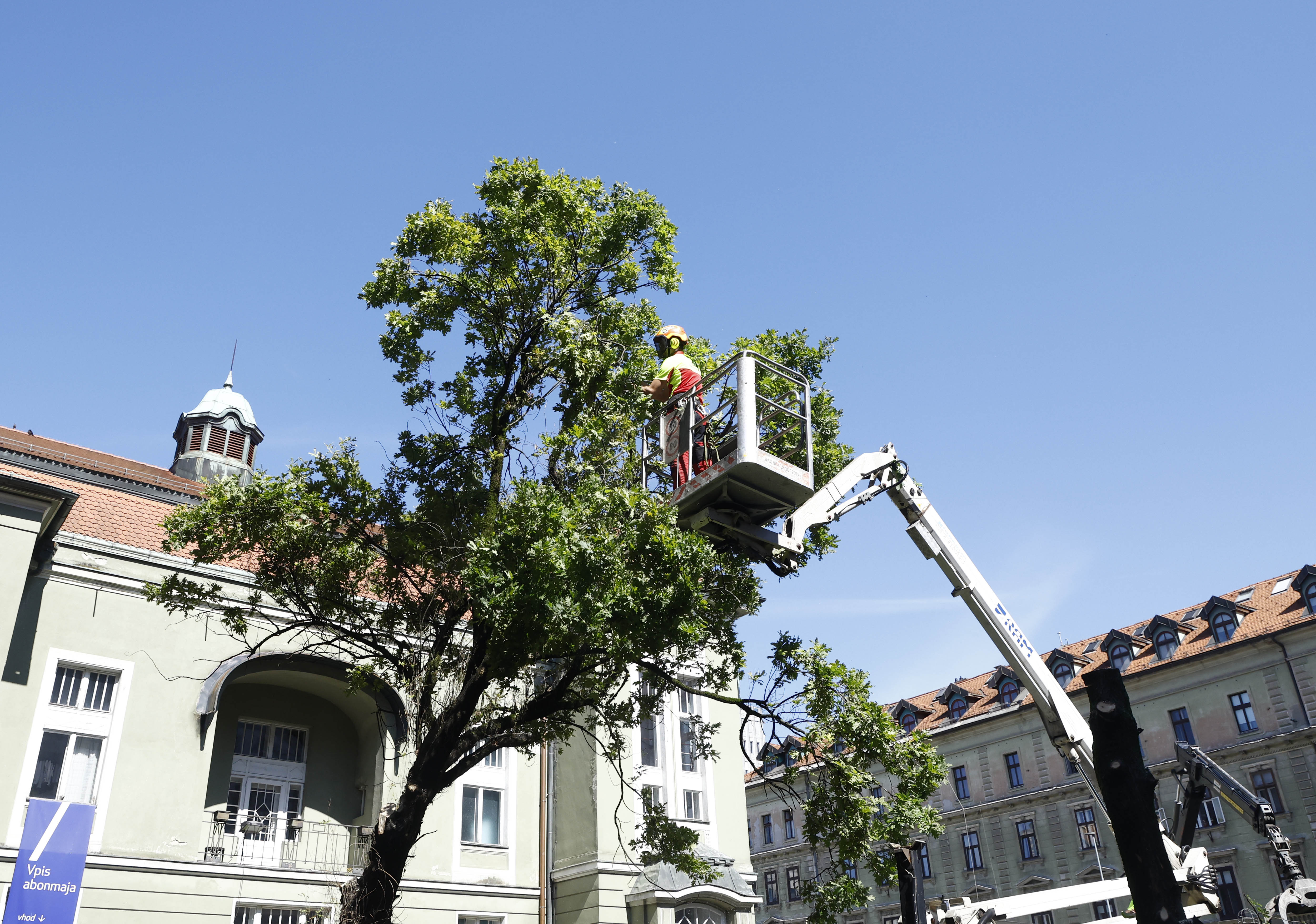 Borut Živulović/BOBO