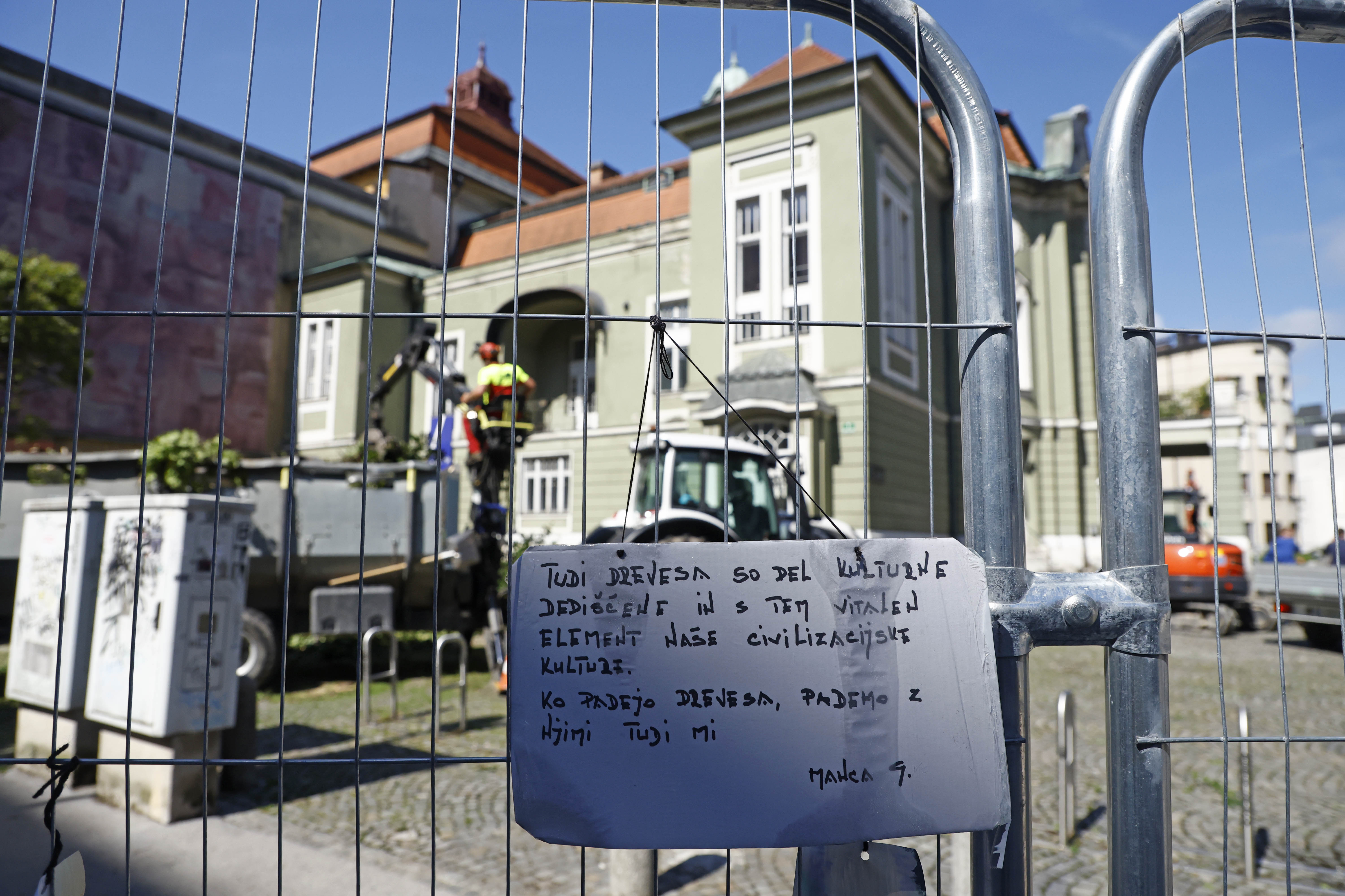 Borut Živulović/BOBO