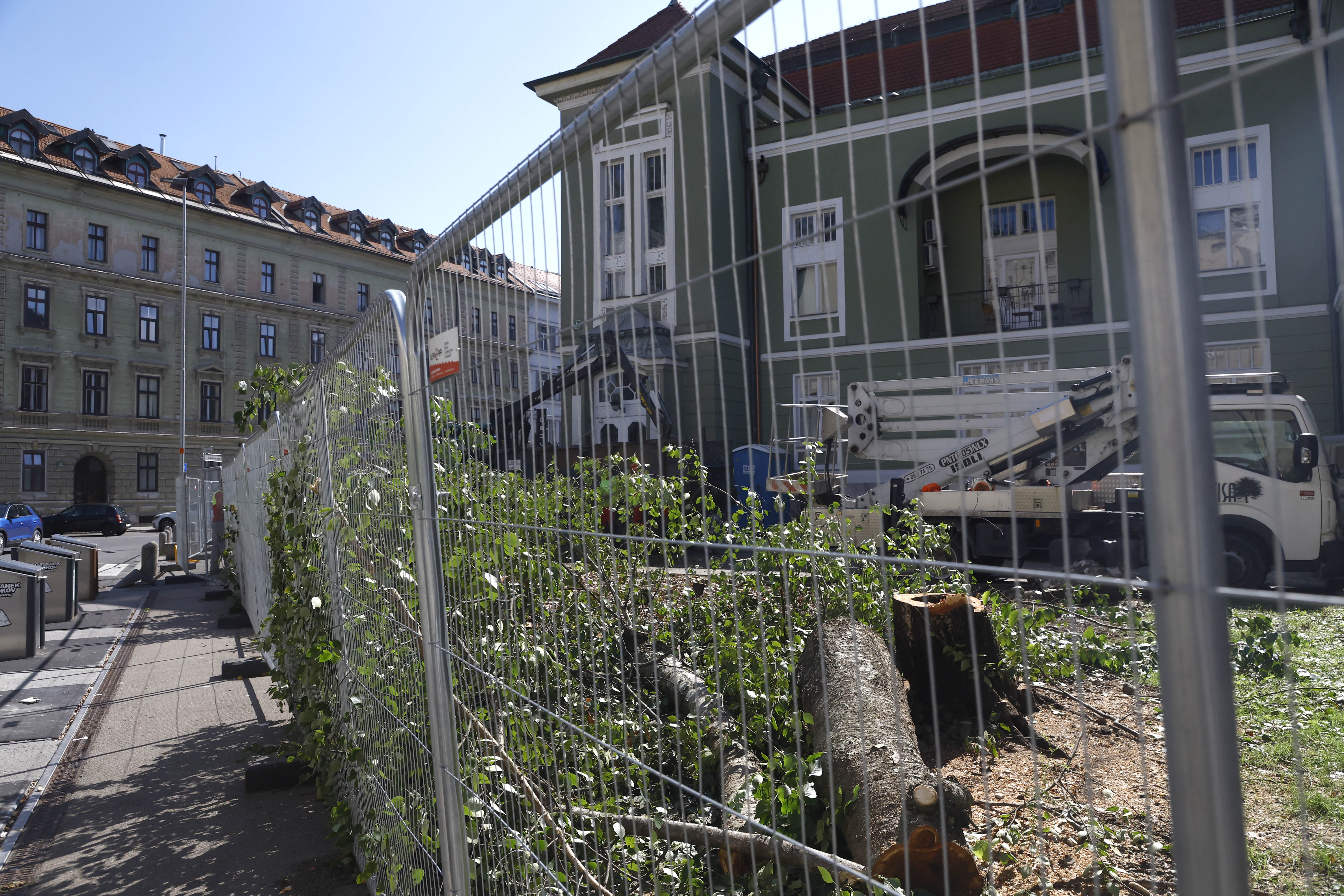 Borut Živulović/BOBO