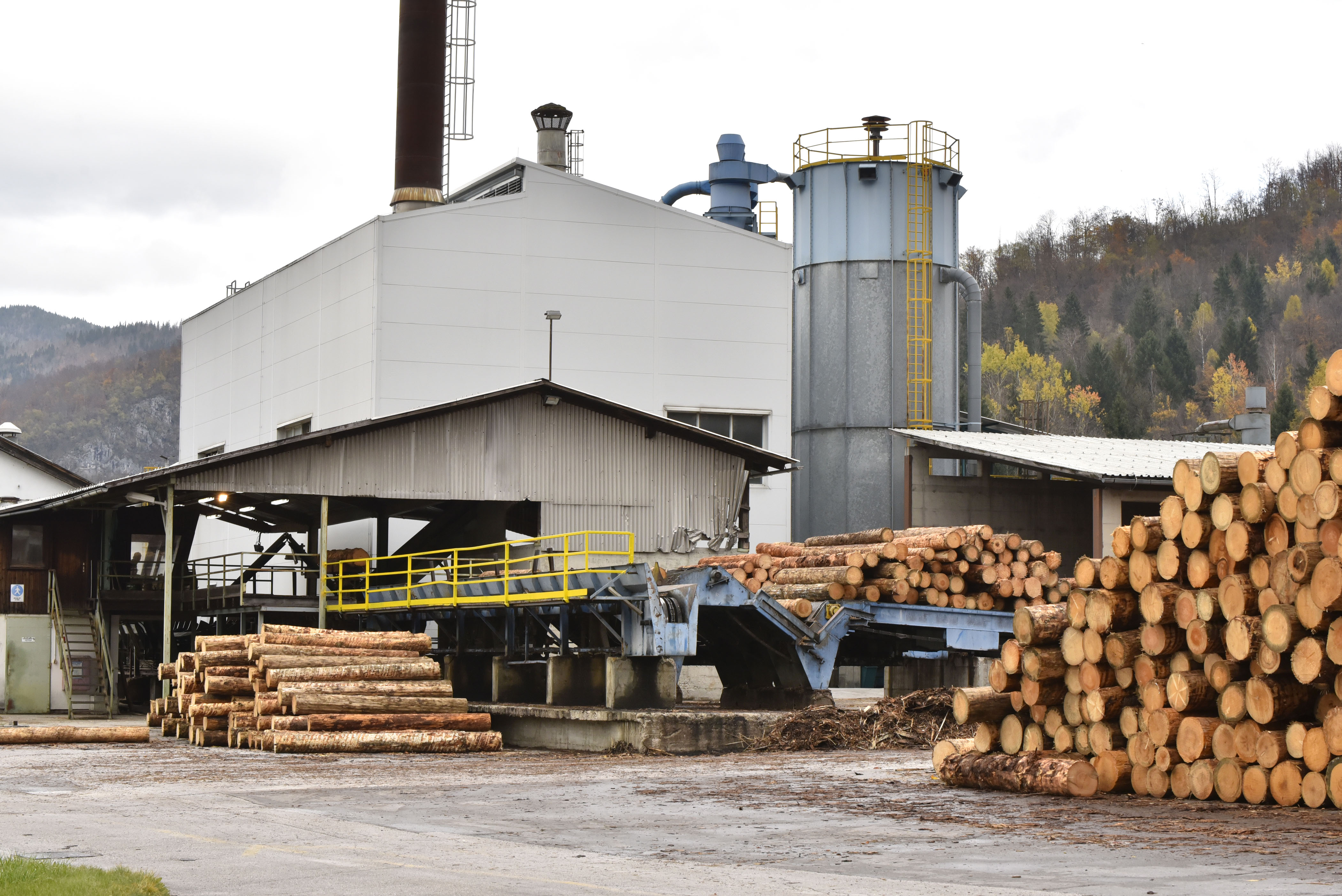 Hlodovina les naravni viri