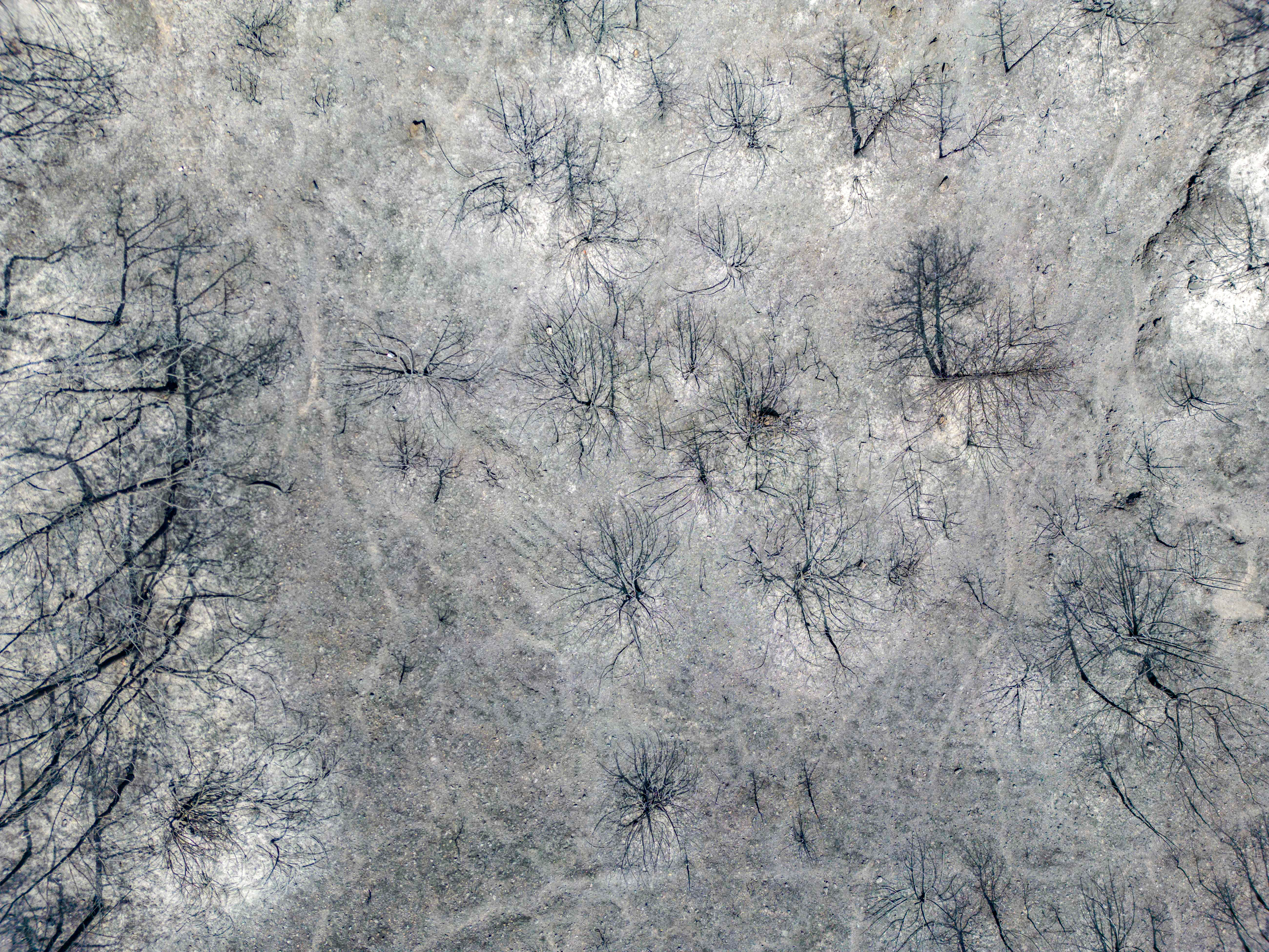 REUTERS/Nicolas Economou