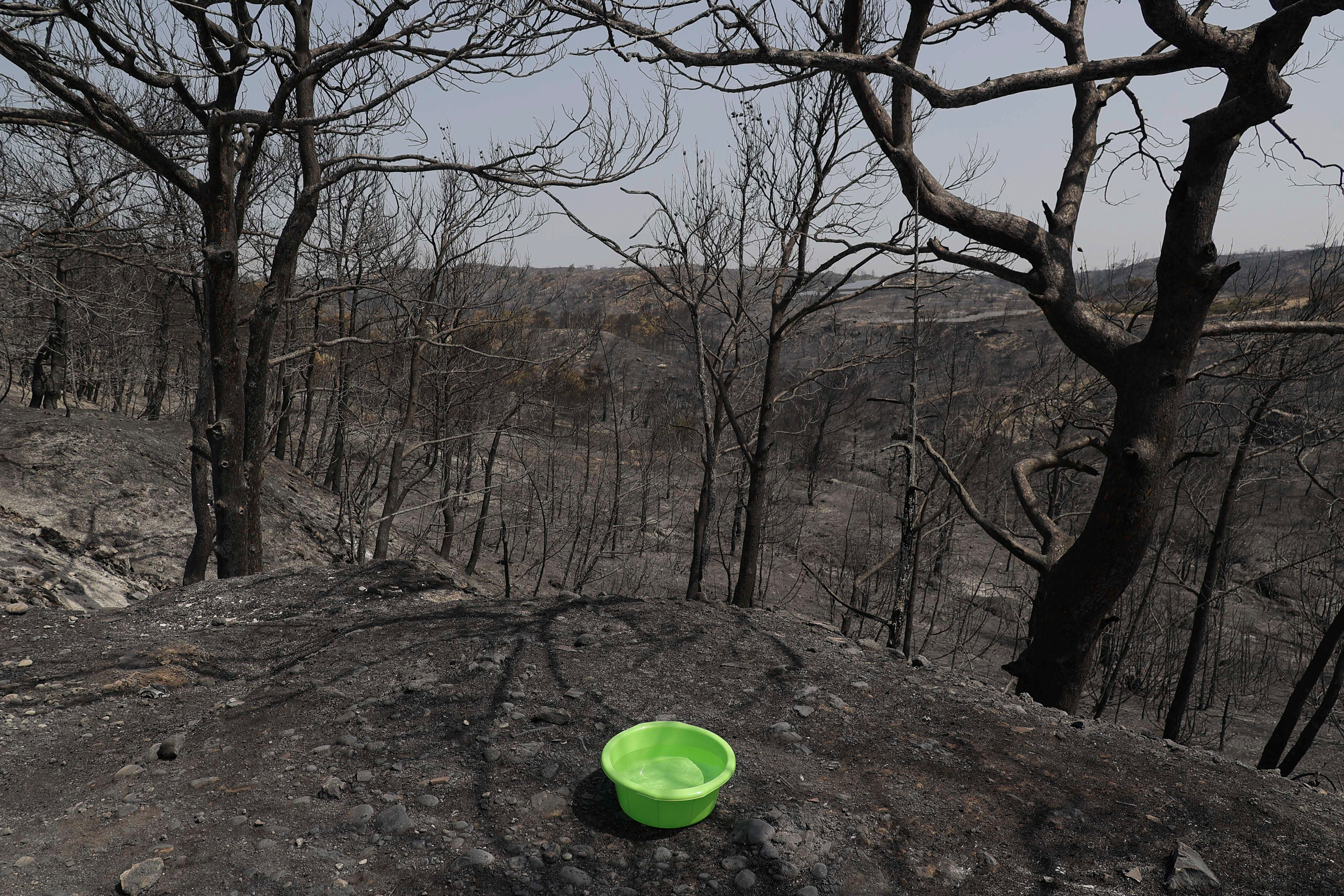 REUTERS/Nicolas Economou