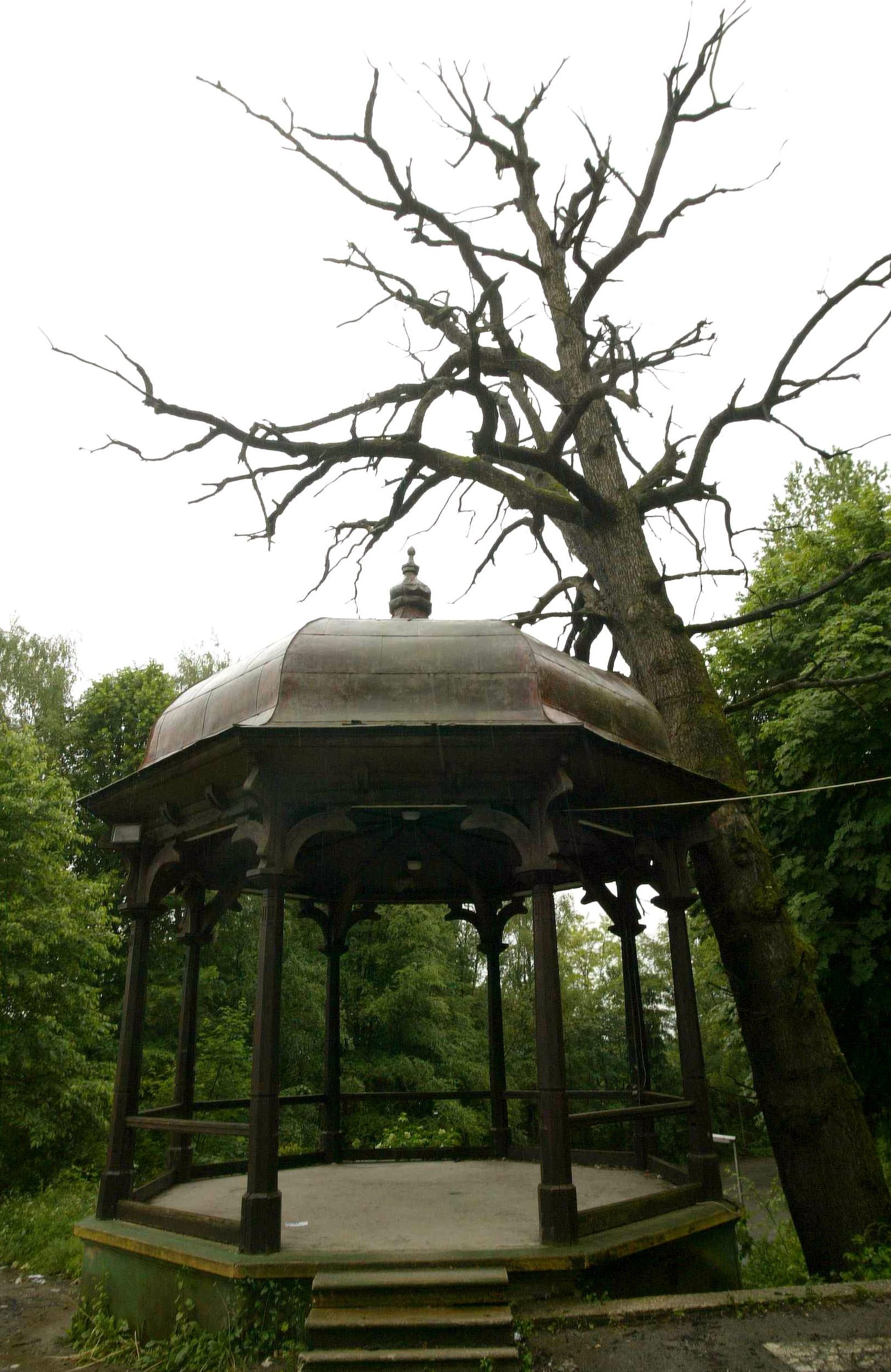 Srdjan Živulović/BOBO