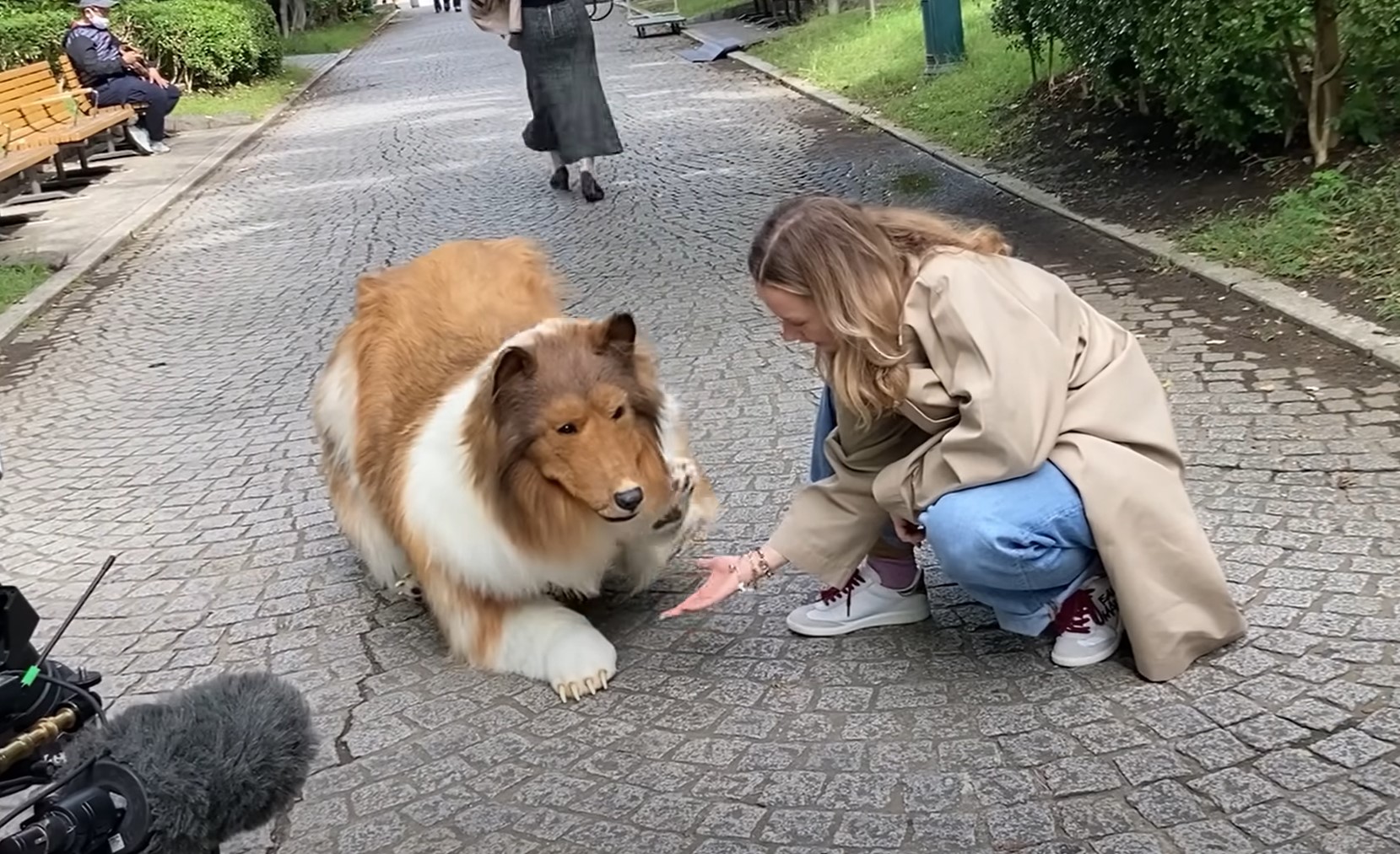 Toco, Japonec, škotski ovčar, kostum