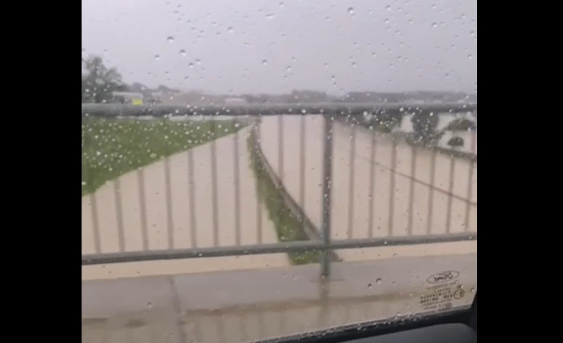 zajem zaslona/vir: bralec