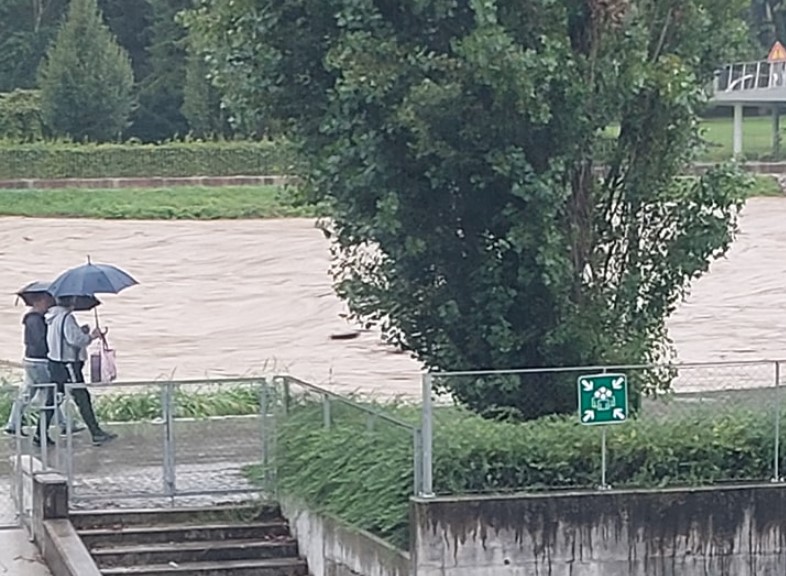 Celje, Savinja, knjžnica