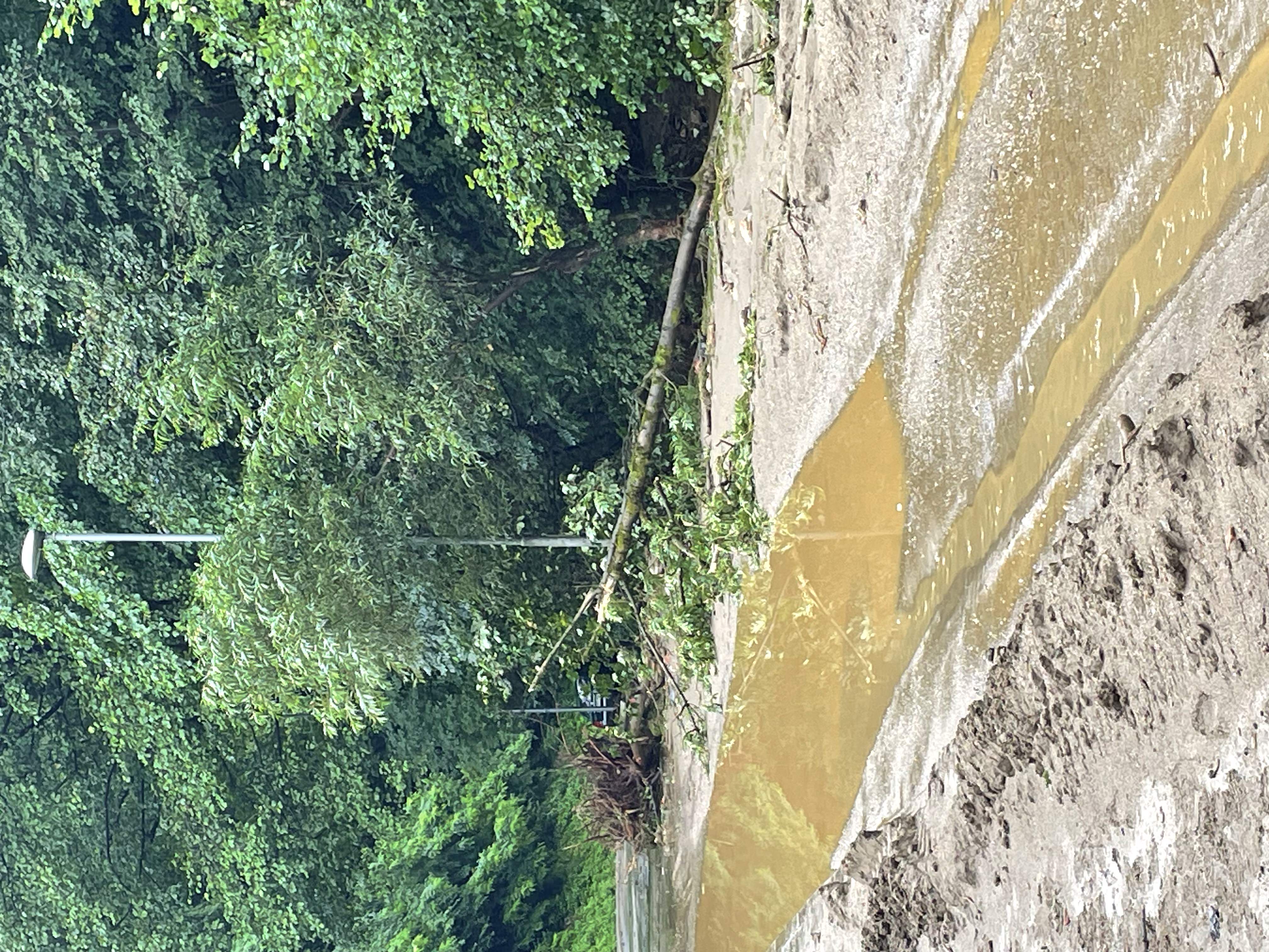 Opustošenje na Koroškem (foto: Nejc Petan)
