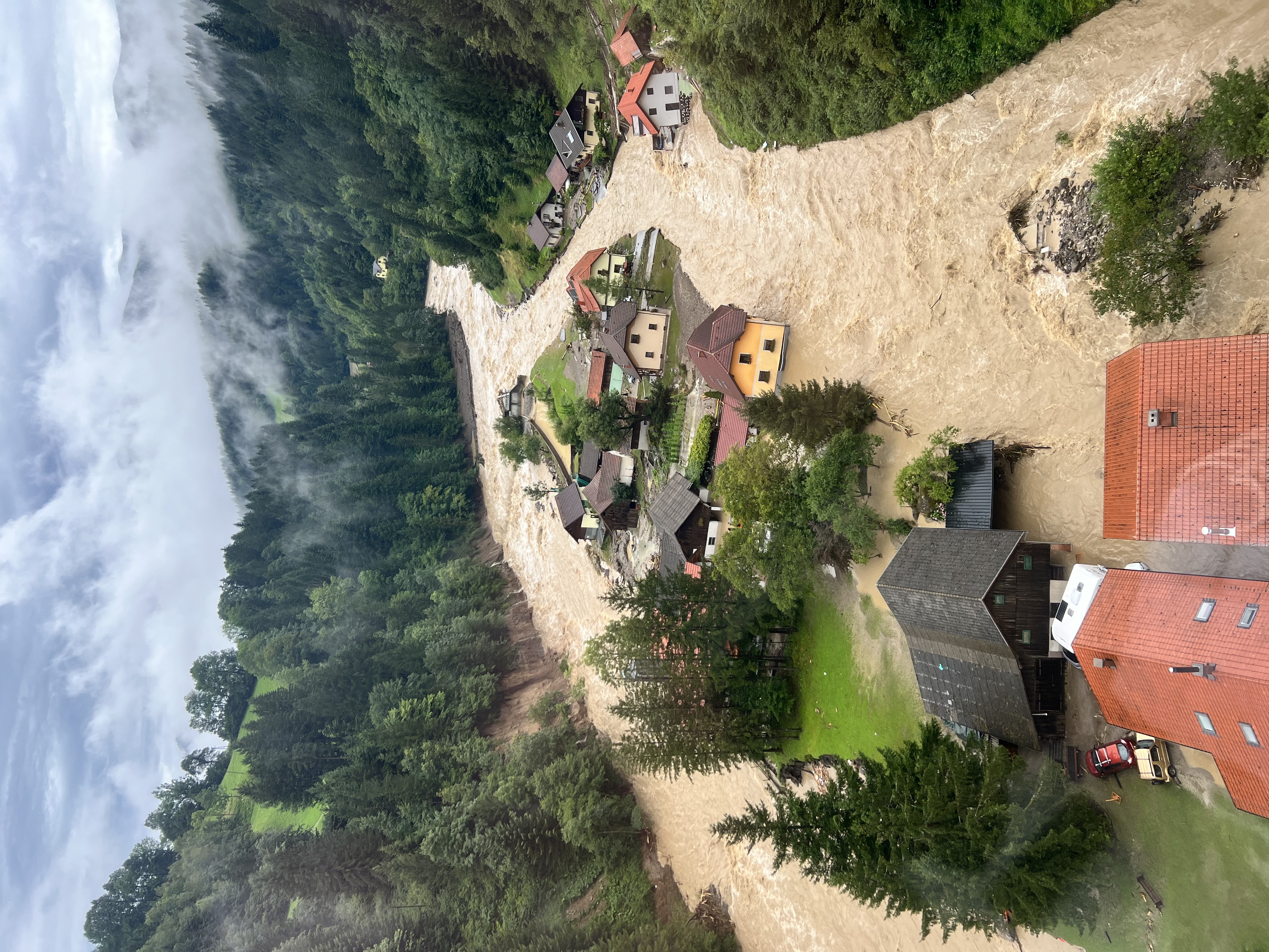 Letalska policijska enota