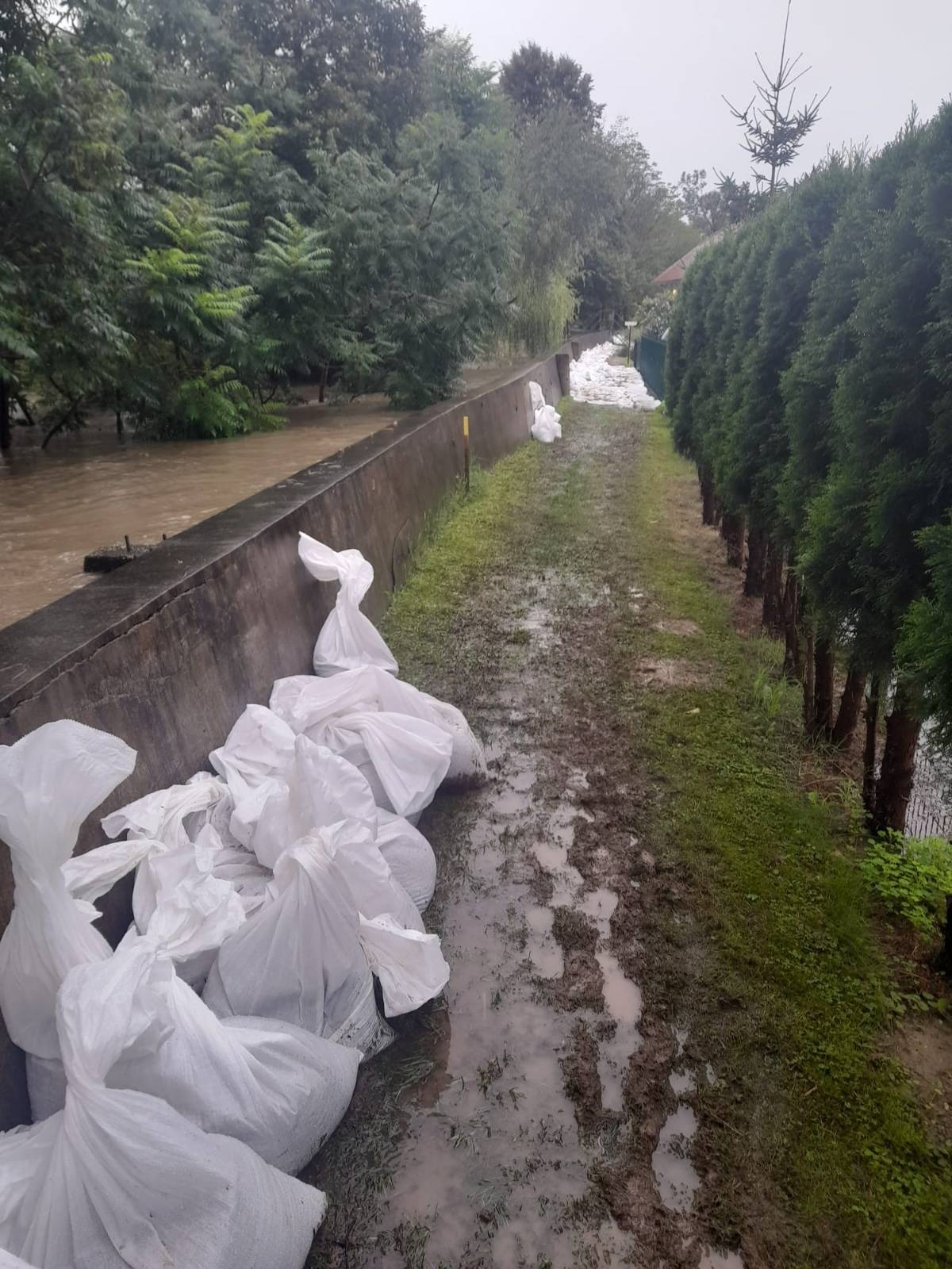 signal-2023-08-06-104654_004