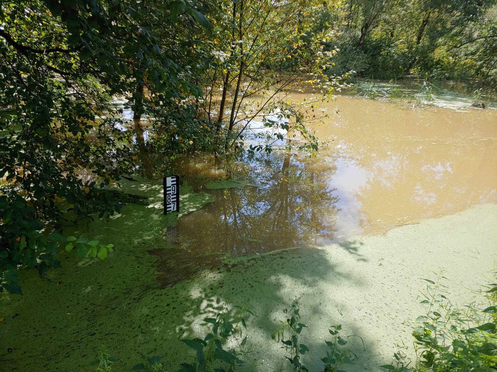 signal-2023-08-06-151534_003