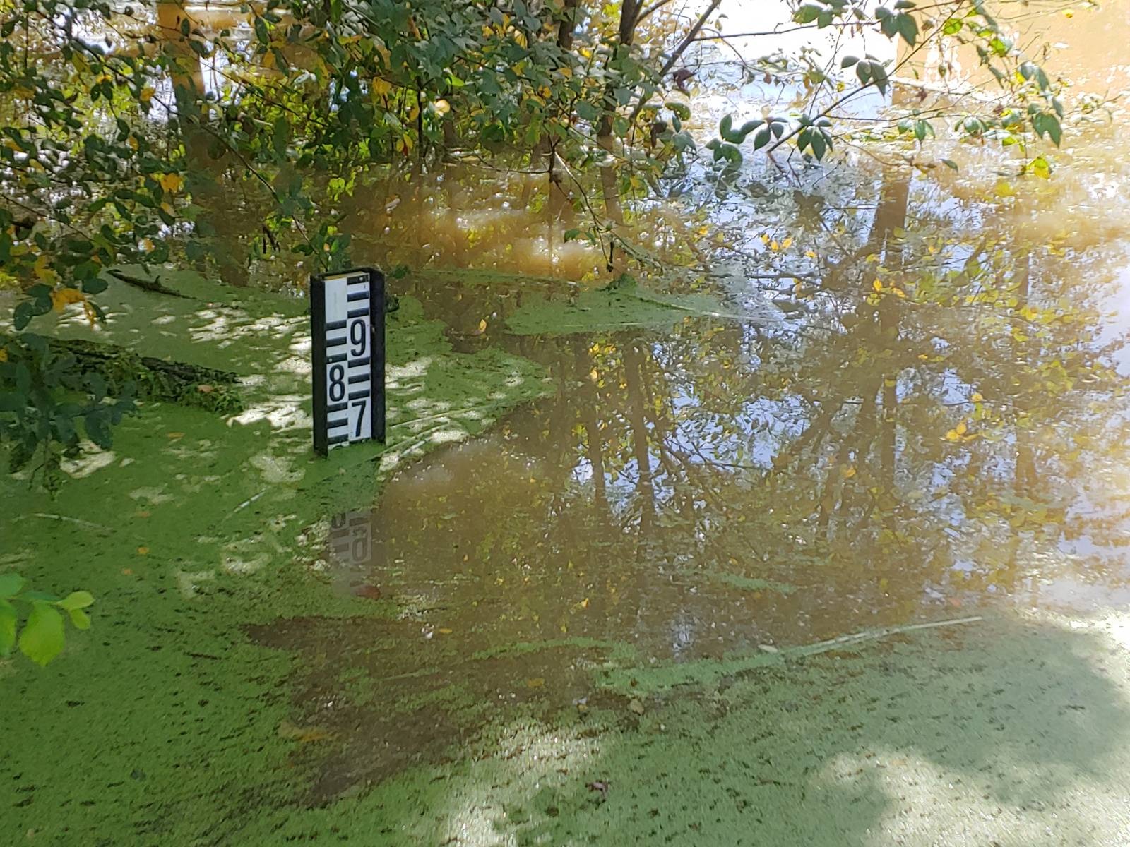 signal-2023-08-06-151534_002