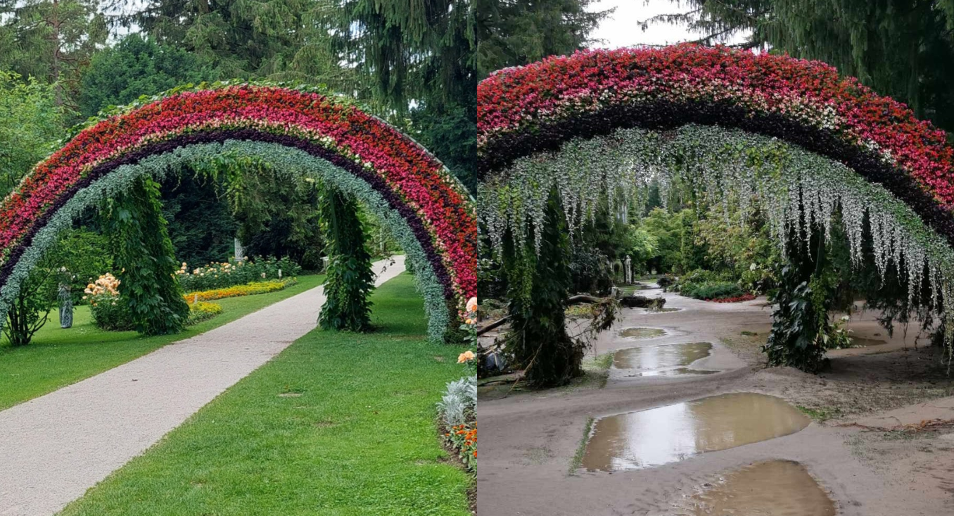 Mozirski gaj, prej in potem