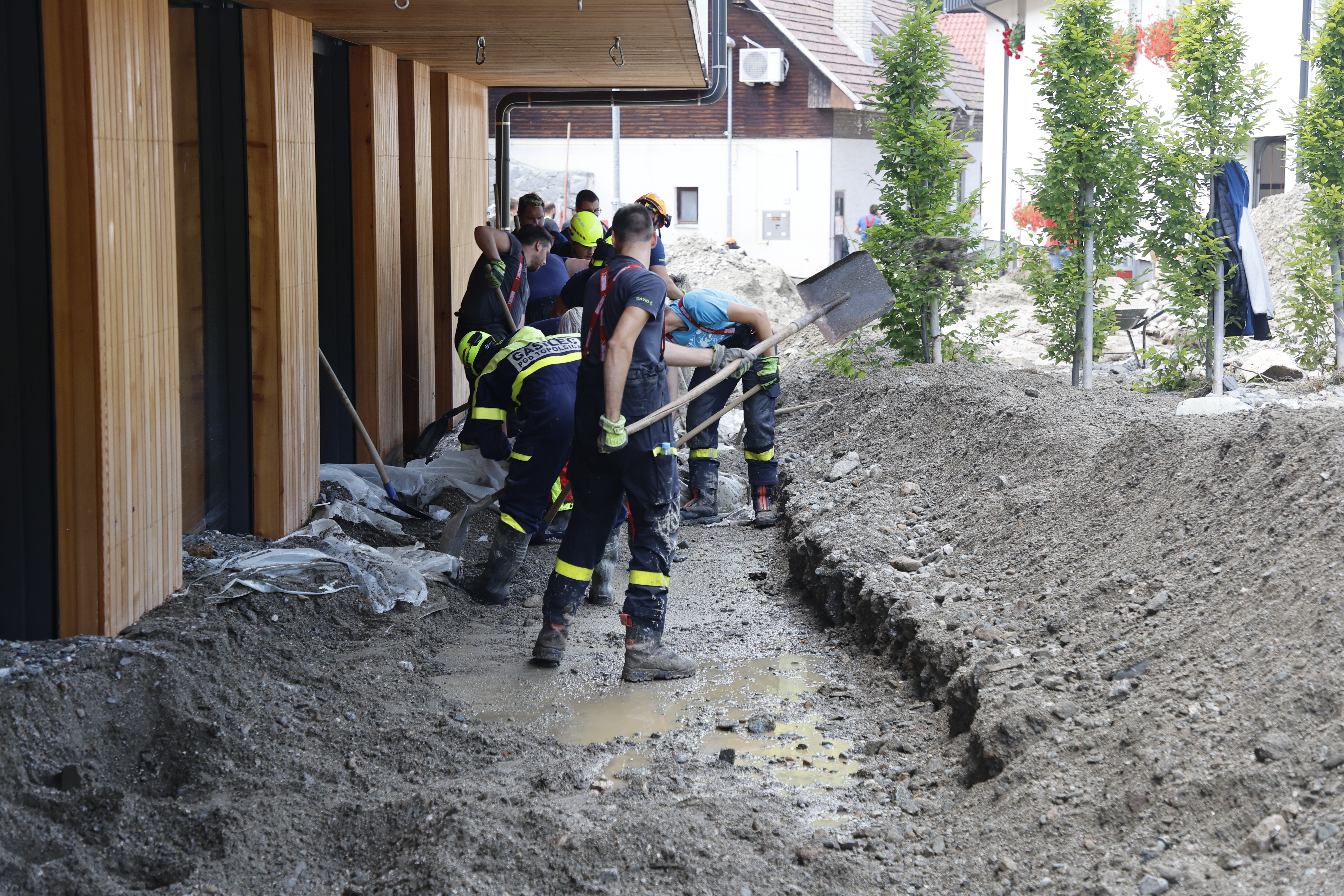 Borut Živulović/BOBO