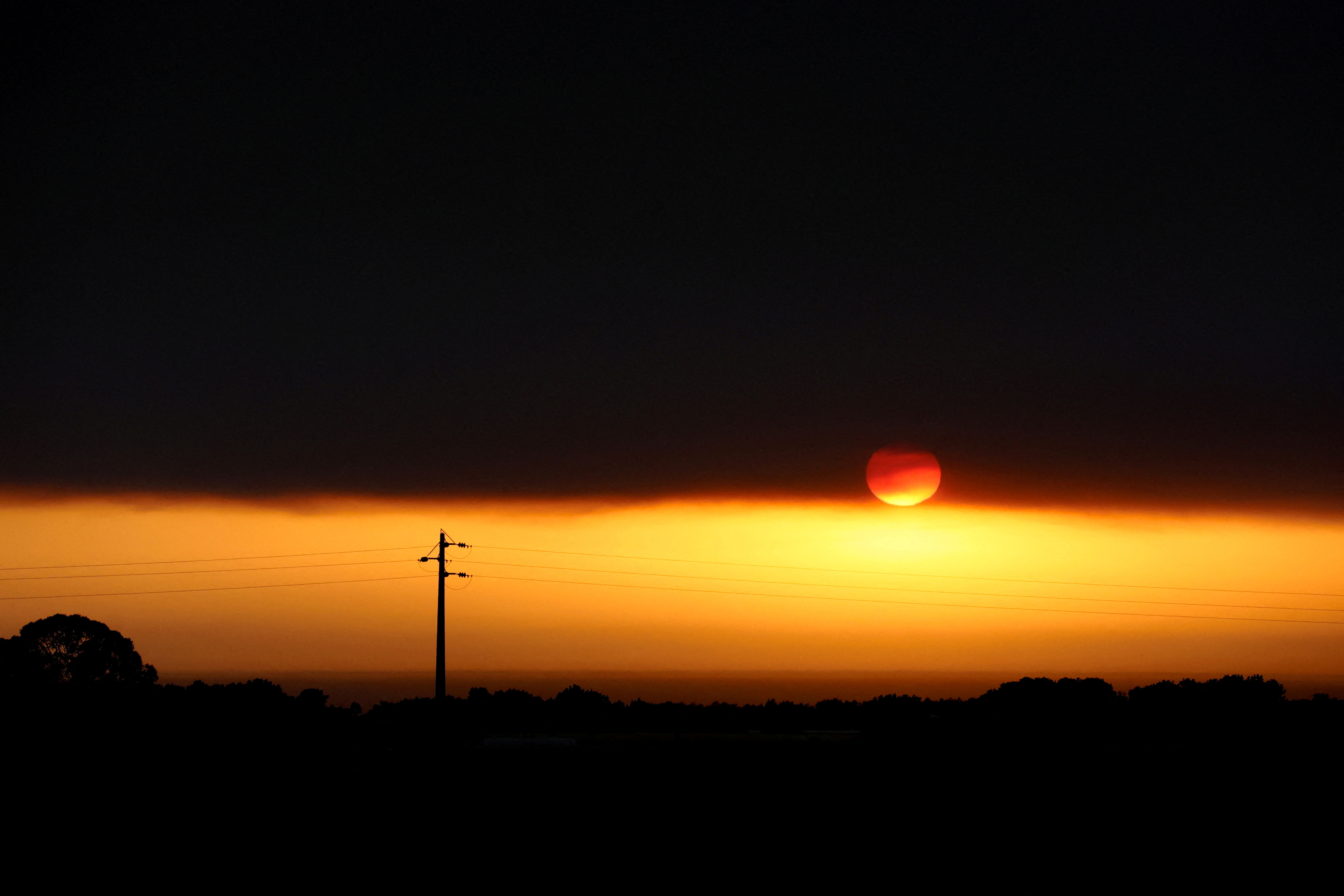 Portugalska, požar, gozdni požar