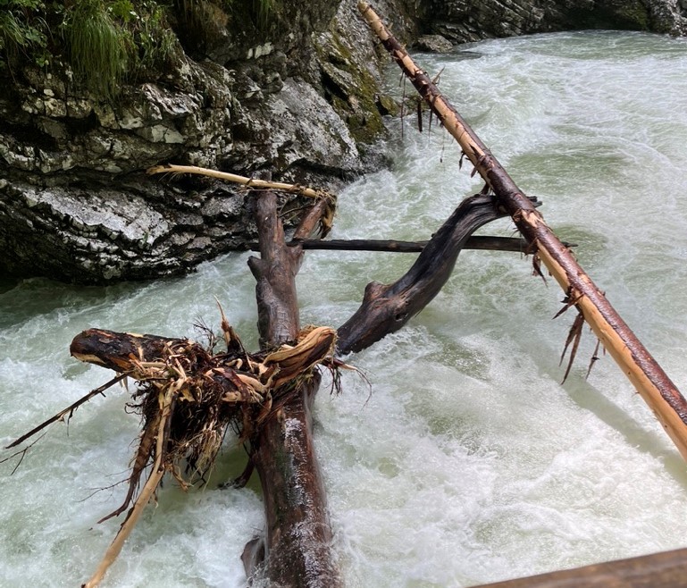 Soteska Vintgar/Facebook