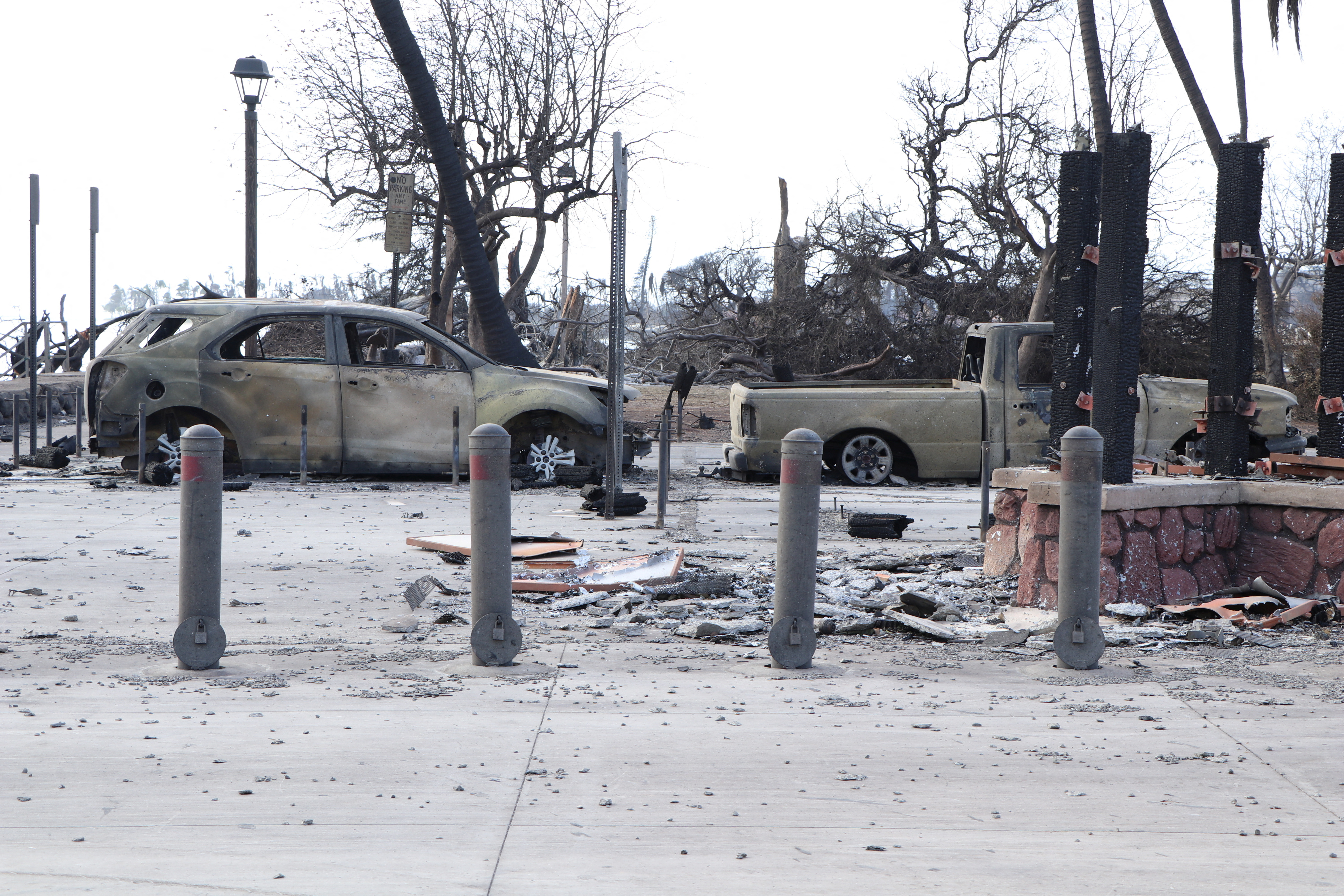 Hawai'i Department of Land and Natural Resources via REUTERS