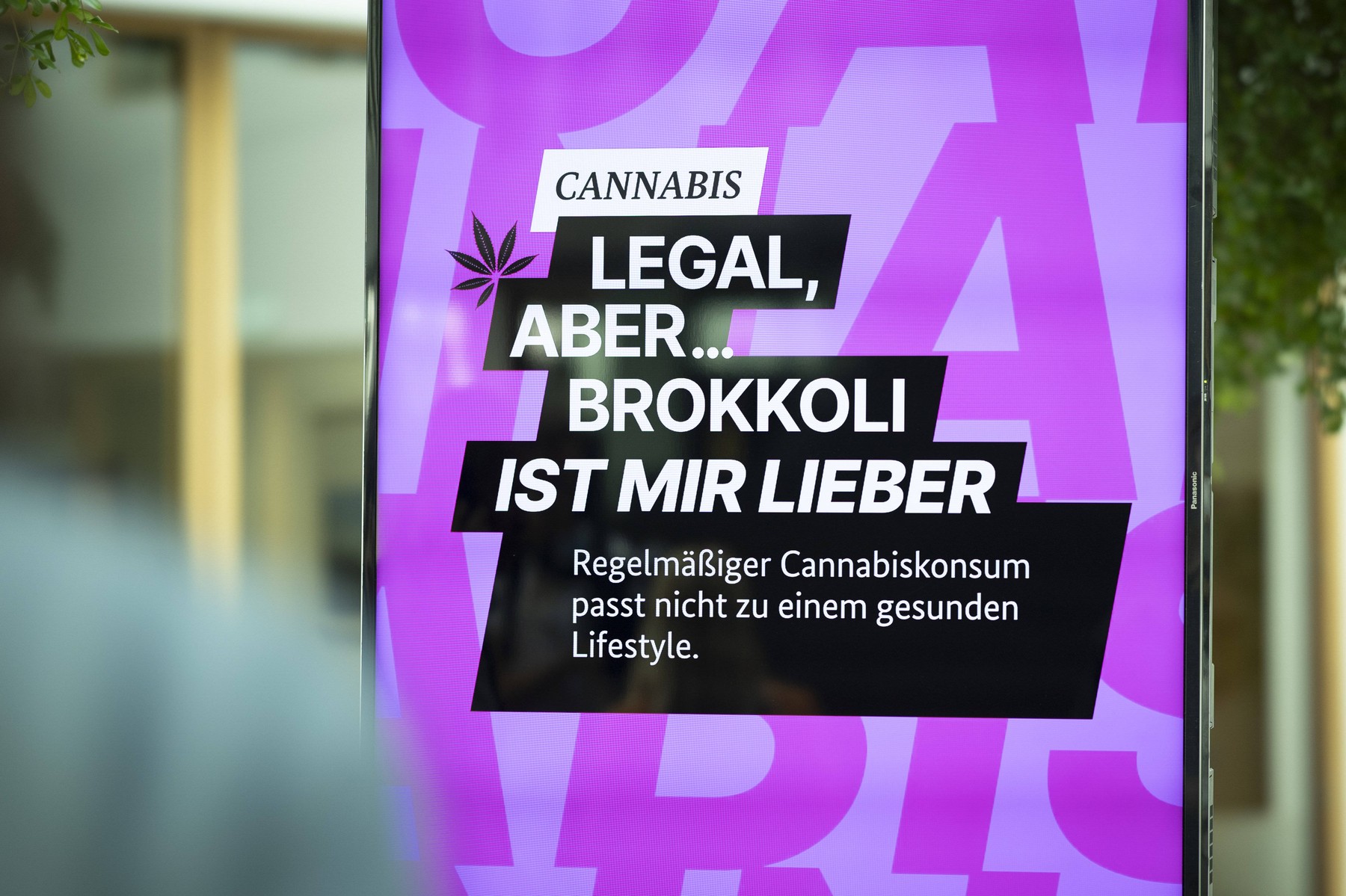 minister za zdravje, nemčija, karl lauterbach