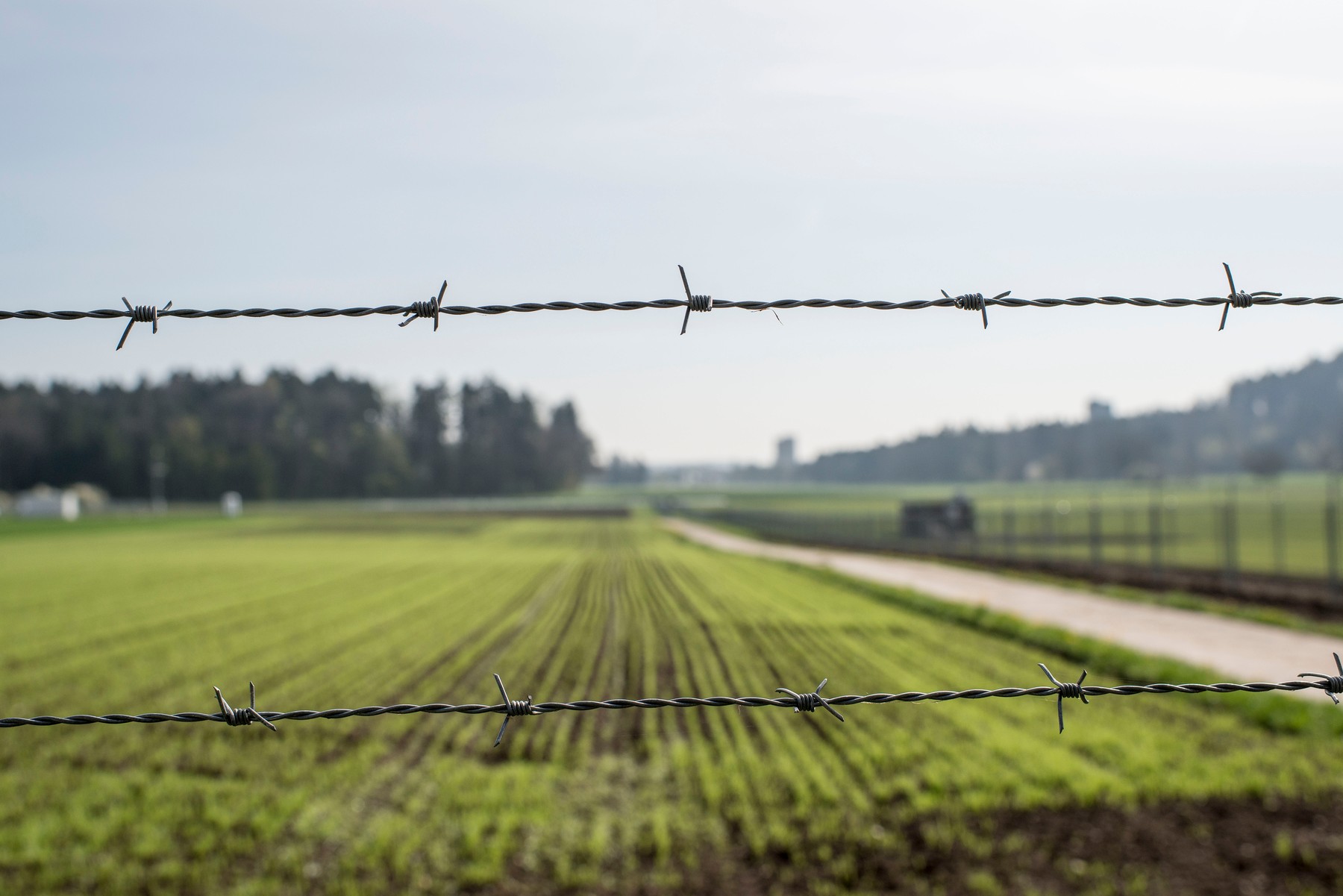 AGROSCOPE RECKENHOLZ-TAENIKON, AGROSCOPE, RECKENHOLZ-TAENIKON, ART, GENTECHNOLOGIE, GENTECH, NAHRUNG, LEBENSMITTEL, GENTECHNISCH, GENTECHNISCH VERAENDERT, PFLANZEN, RECKENHOLZ, FELD, PROTECTED SITE, GVP, GENTECHNISCH VERAENDERTE PFLANZEN, ZAUN, UMZAEUNUNG