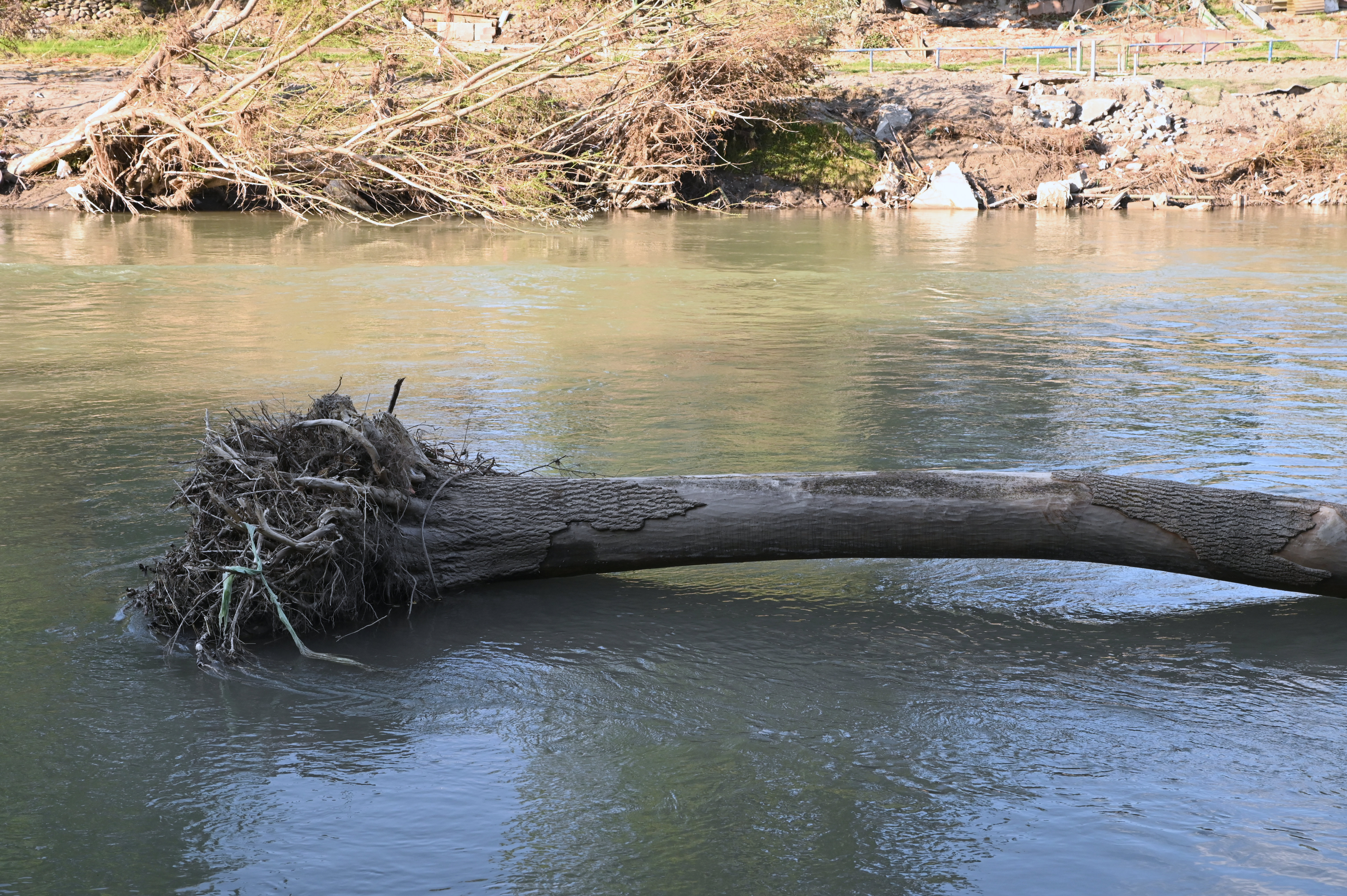 Sora, naplavina, poplave, odpadki, drevo