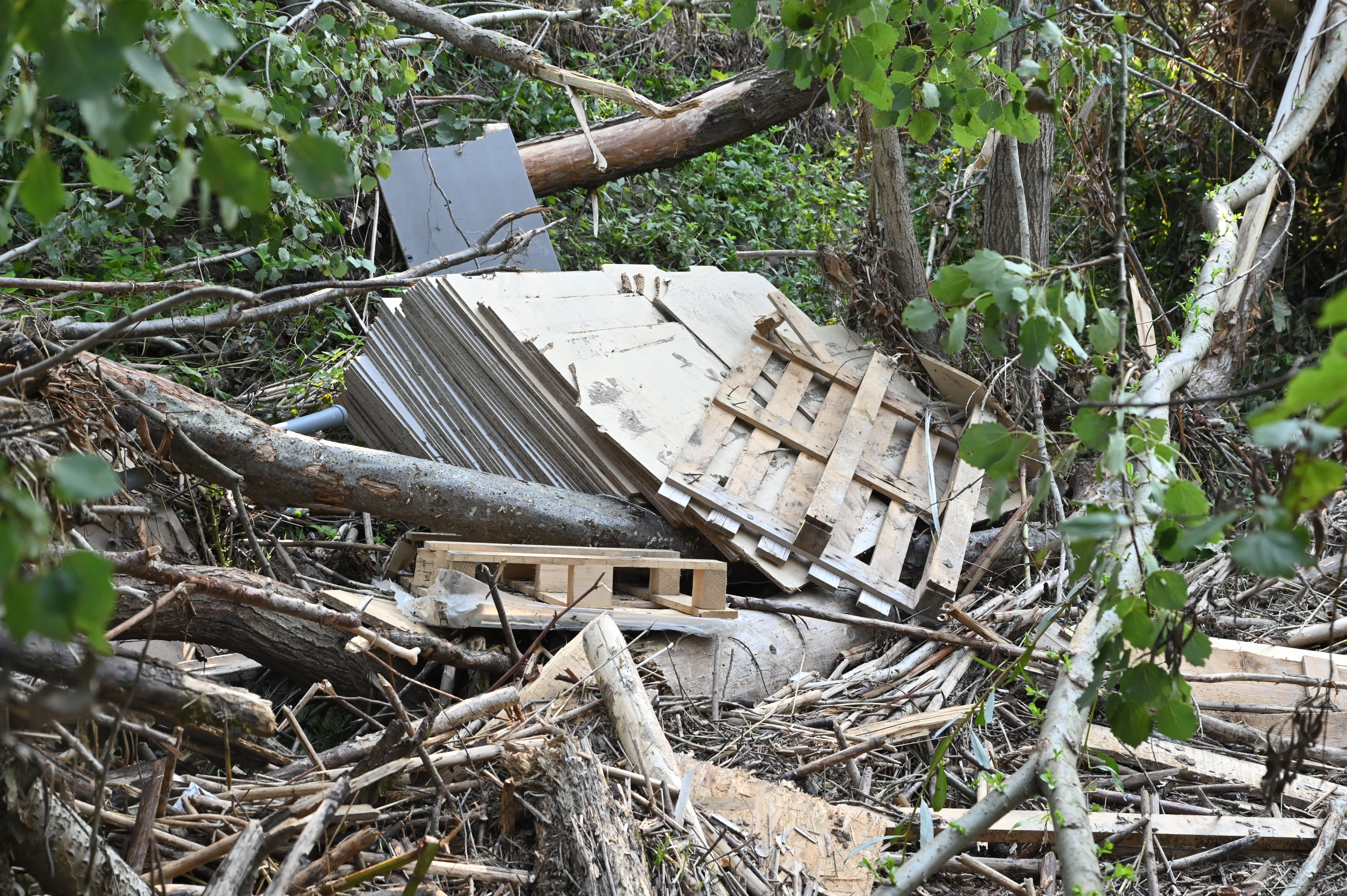 Žiga Živulović jr./BOBO