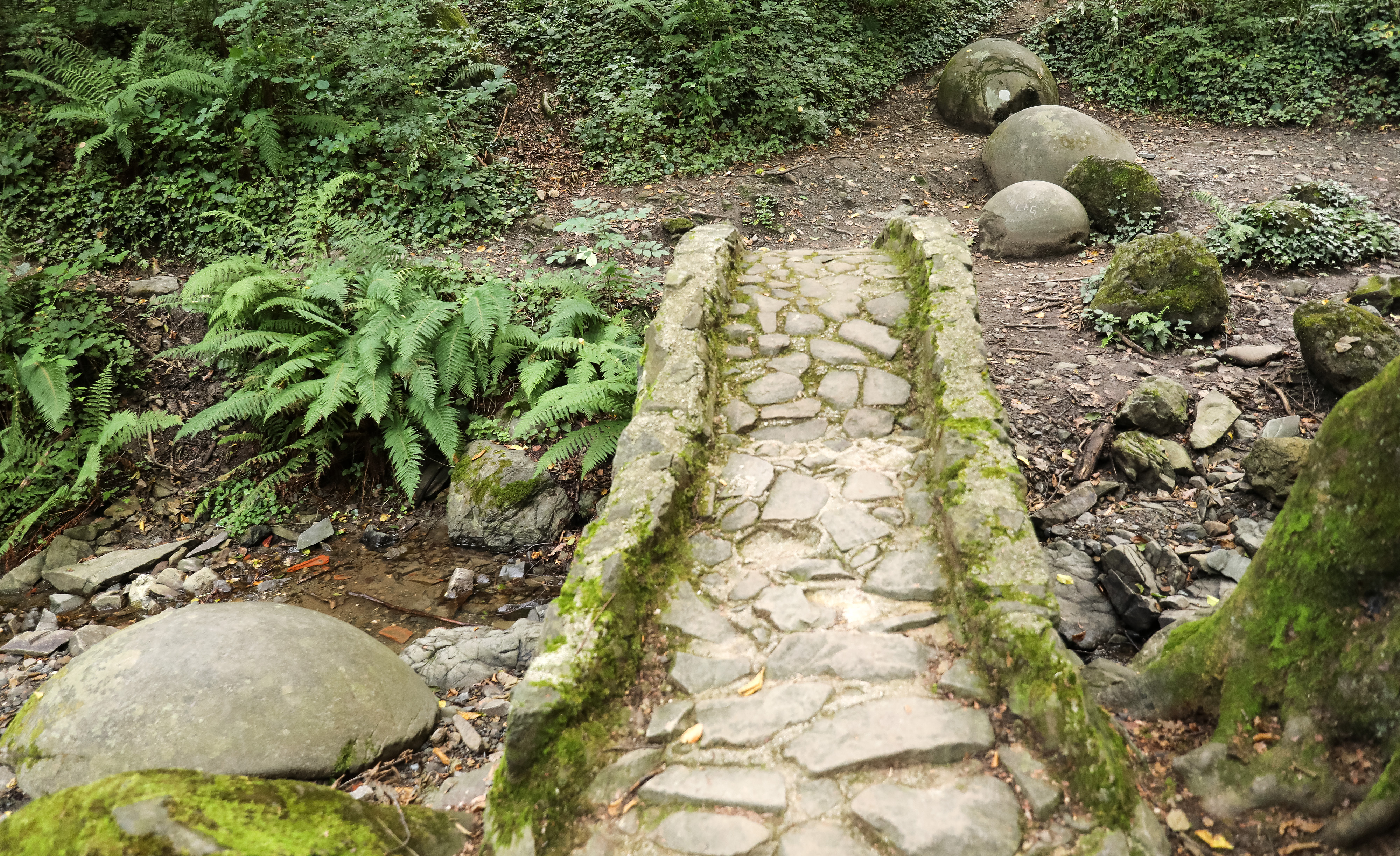 Emica Elvedji/PIXSELL/BOBO