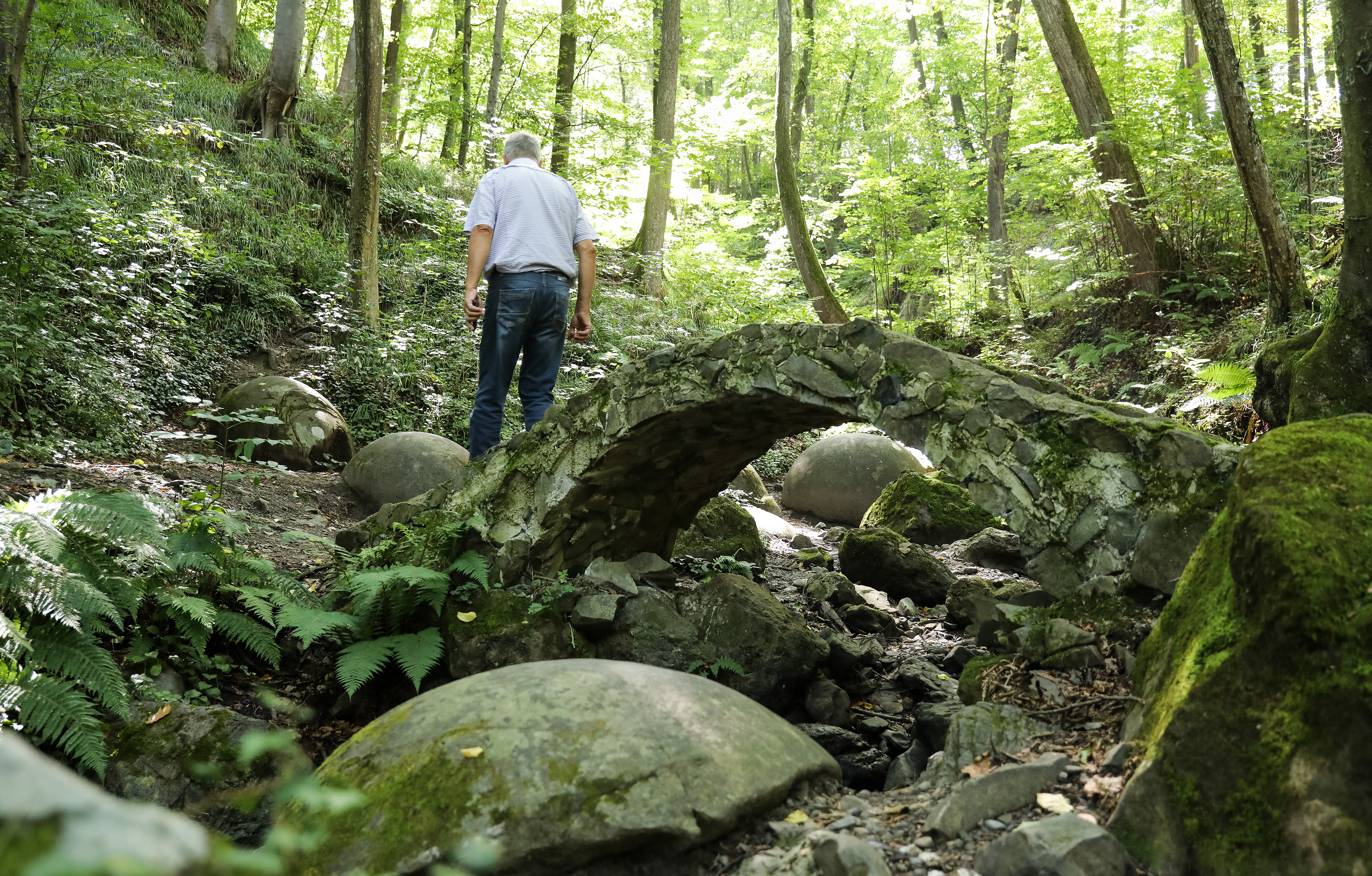 Emica Elvedji/PIXSELL/BOBO