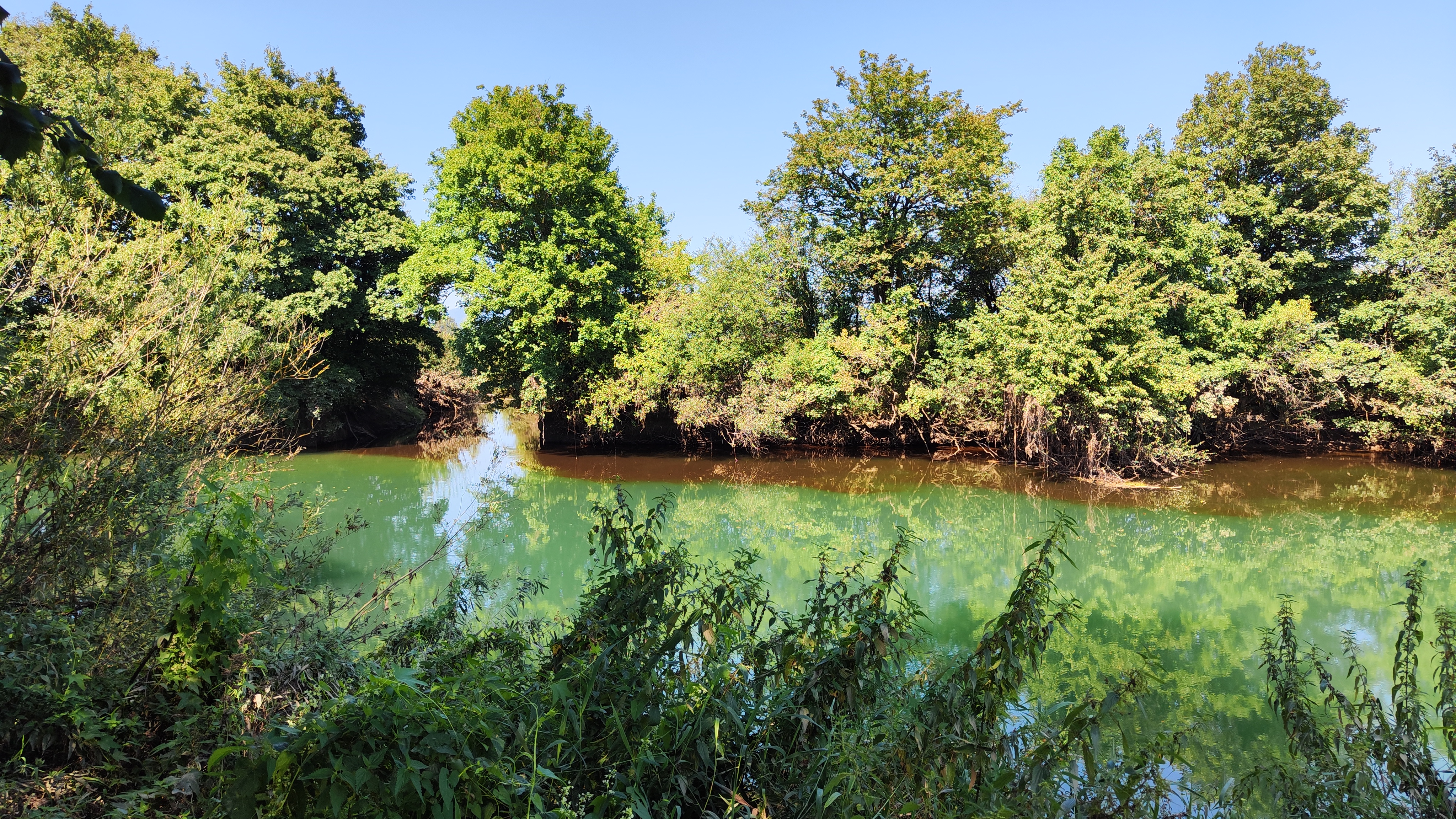 onesnaženo Ljubljansko barje