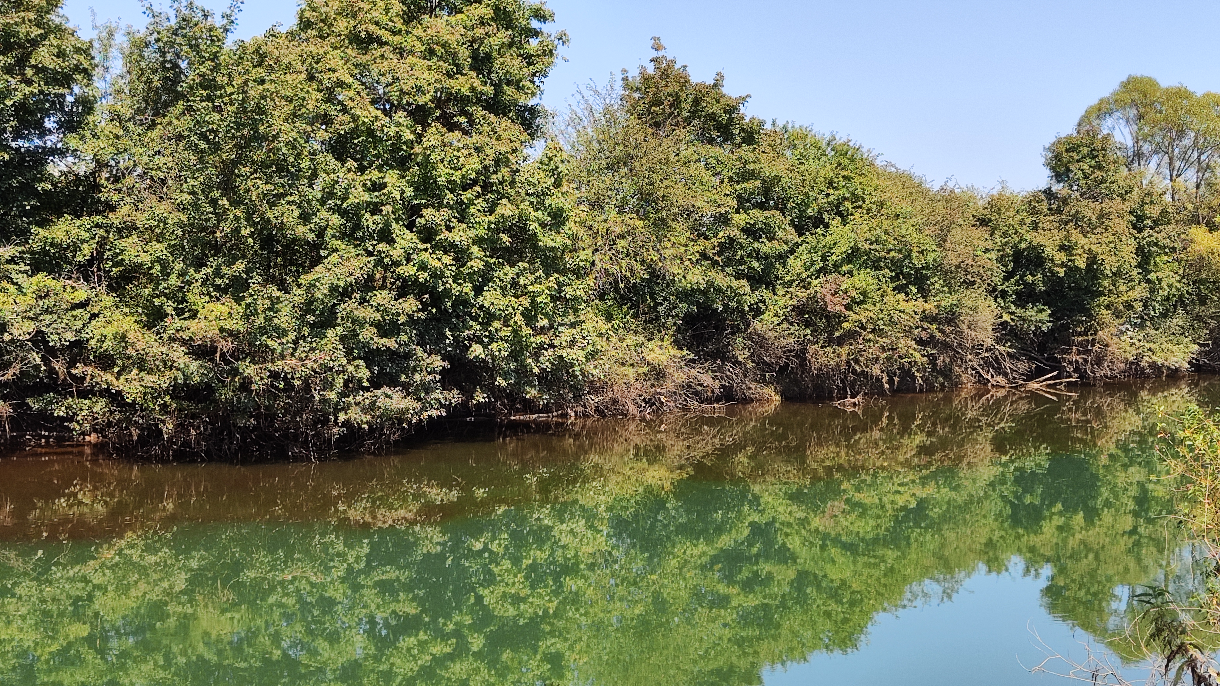 onesnaženo Ljubljansko barje